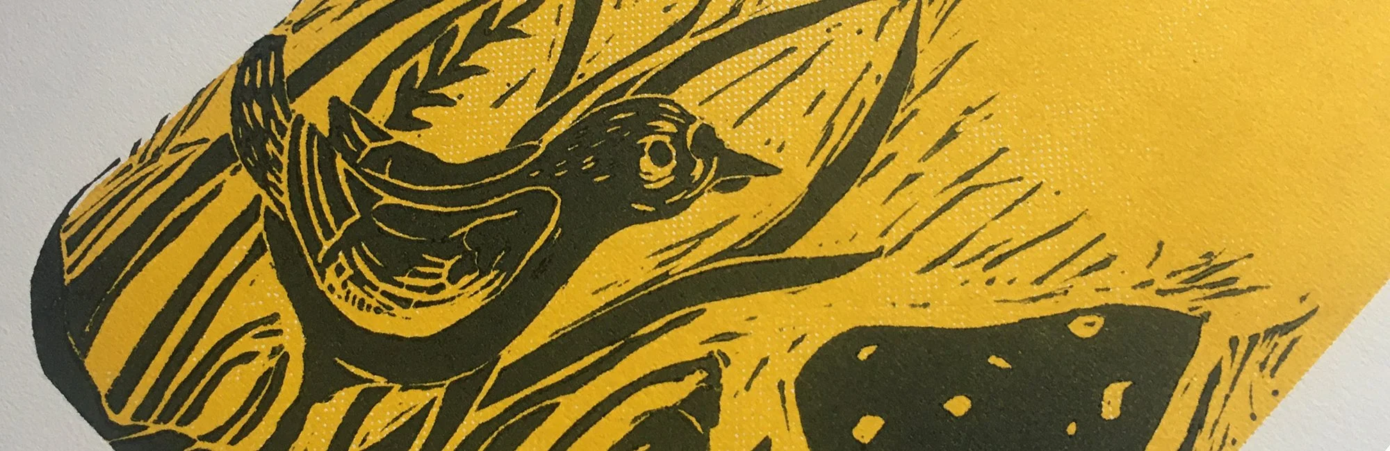 Czarno-żółta ilustracja przedstawiająca ptaka siedzącego na gałęzi, z detaliczną kreską i teksturowanym żółtym tłem. -- 
Black and yellow illustration of a bird perched on a branch, with detailed line work and a textured yellow background.