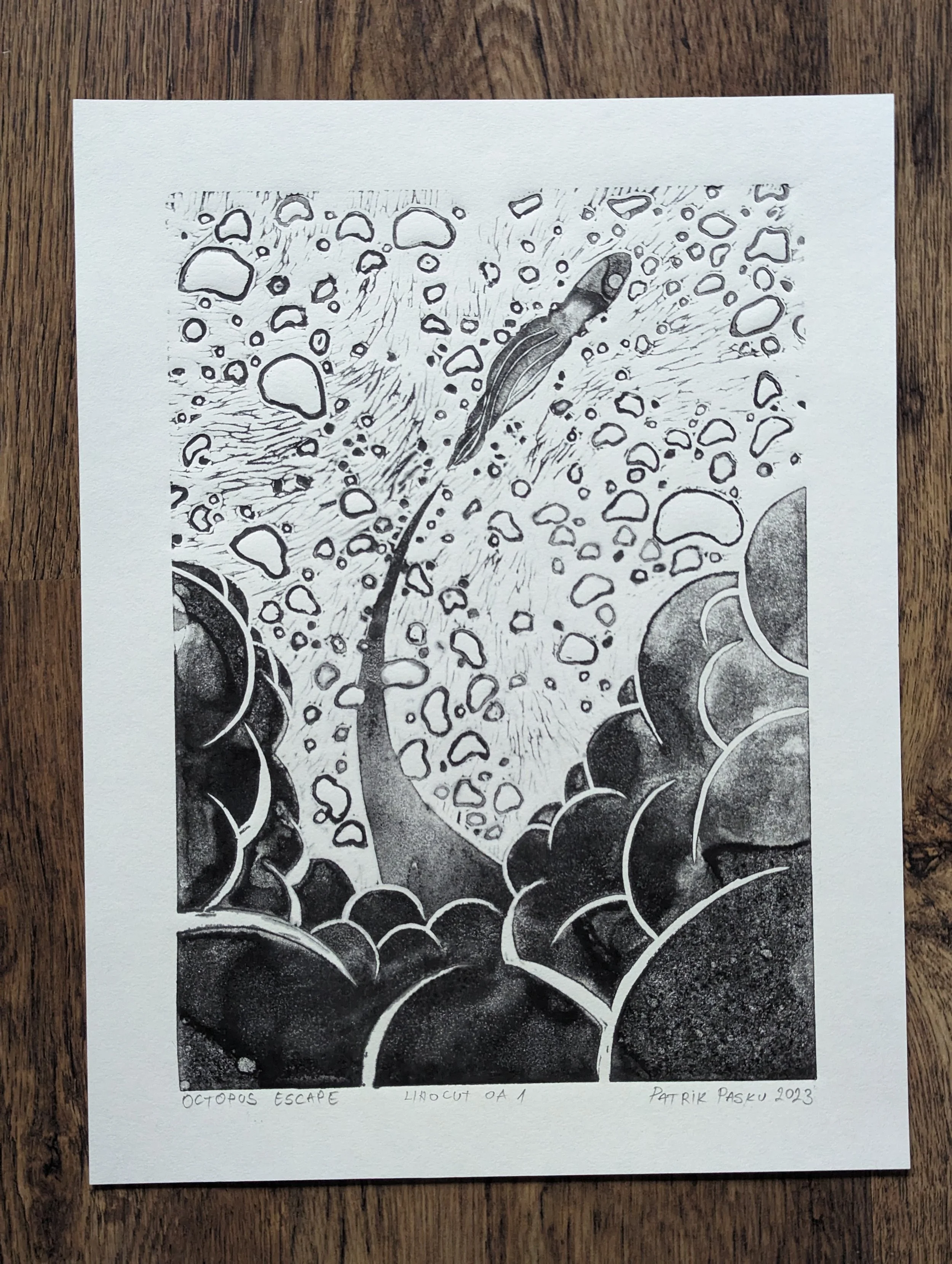 ucieczka ośmiornicy (octopus escape)