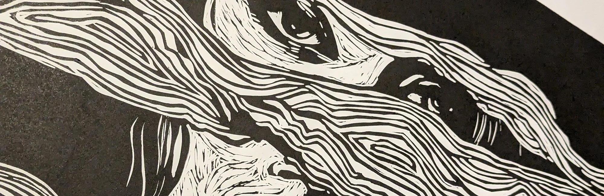 Close-up of a black and white abstract line drawing with flowing, organic shapes.