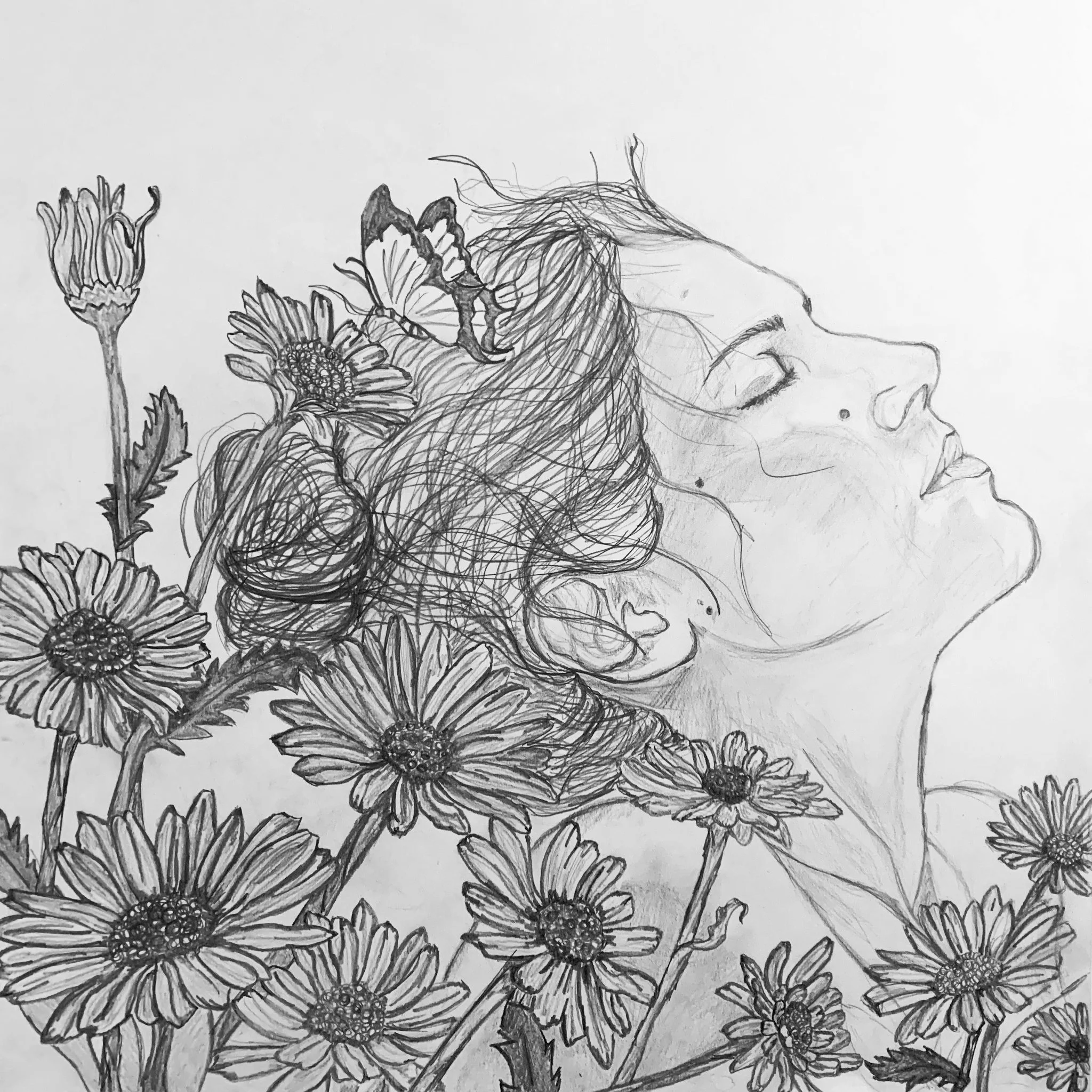 Daisies, le réveil du coeur.