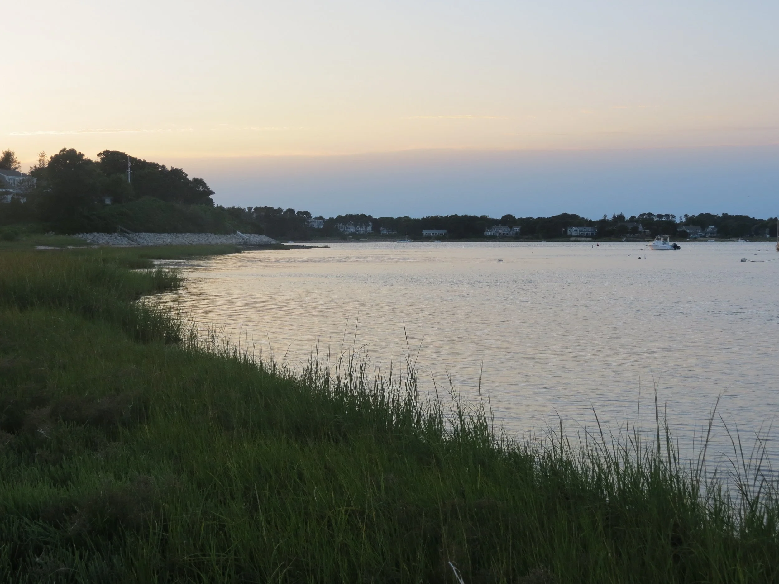 A peaceful waterfront scene at dusk, with calm water, grassy shoreline, and houses in the distance under a soft sky.