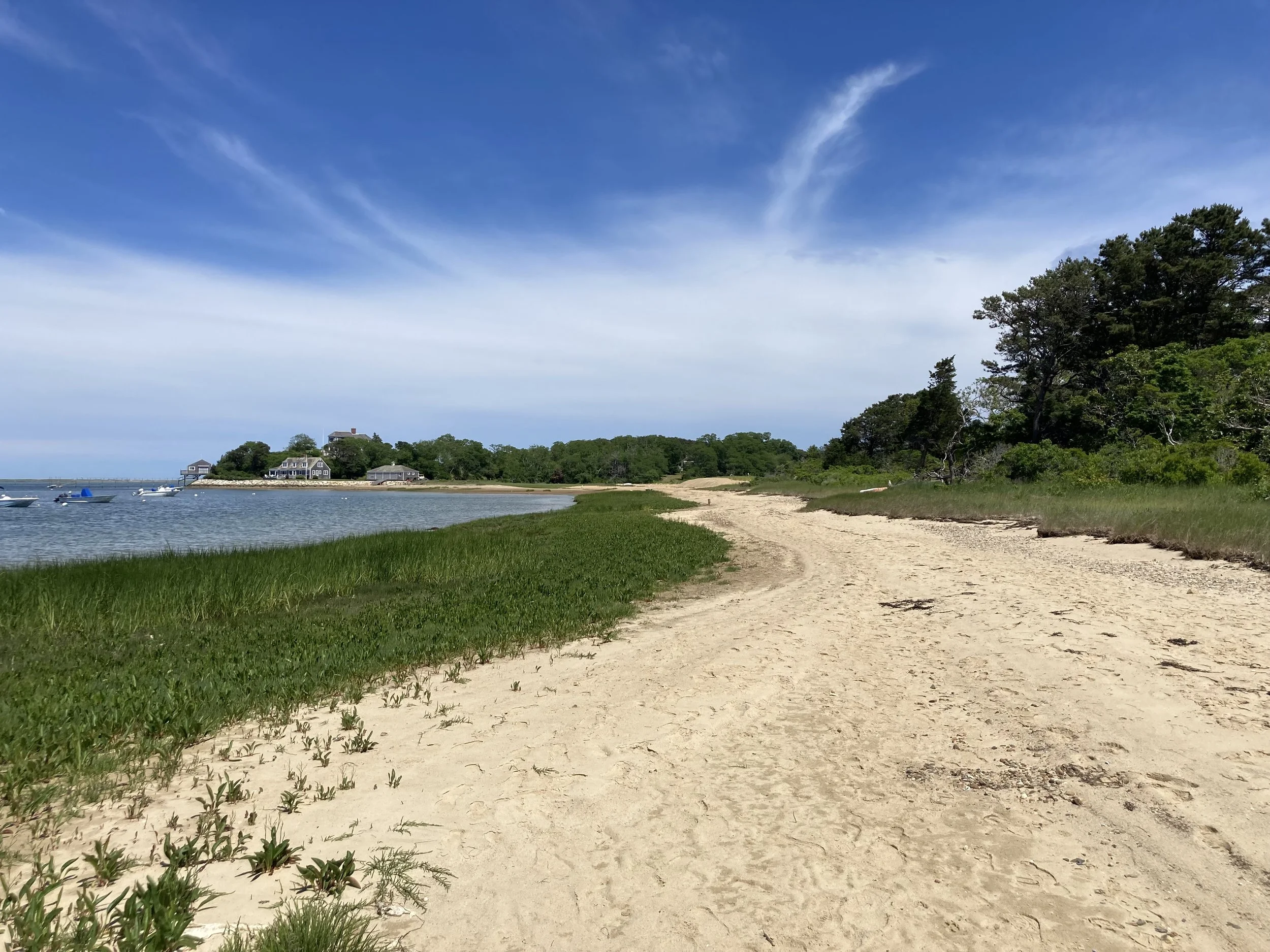 A sandy beach with green grass and trees on the right, a body of water with boats on the left, and houses on a small hill in the background under a partly cloudy blue sky.
