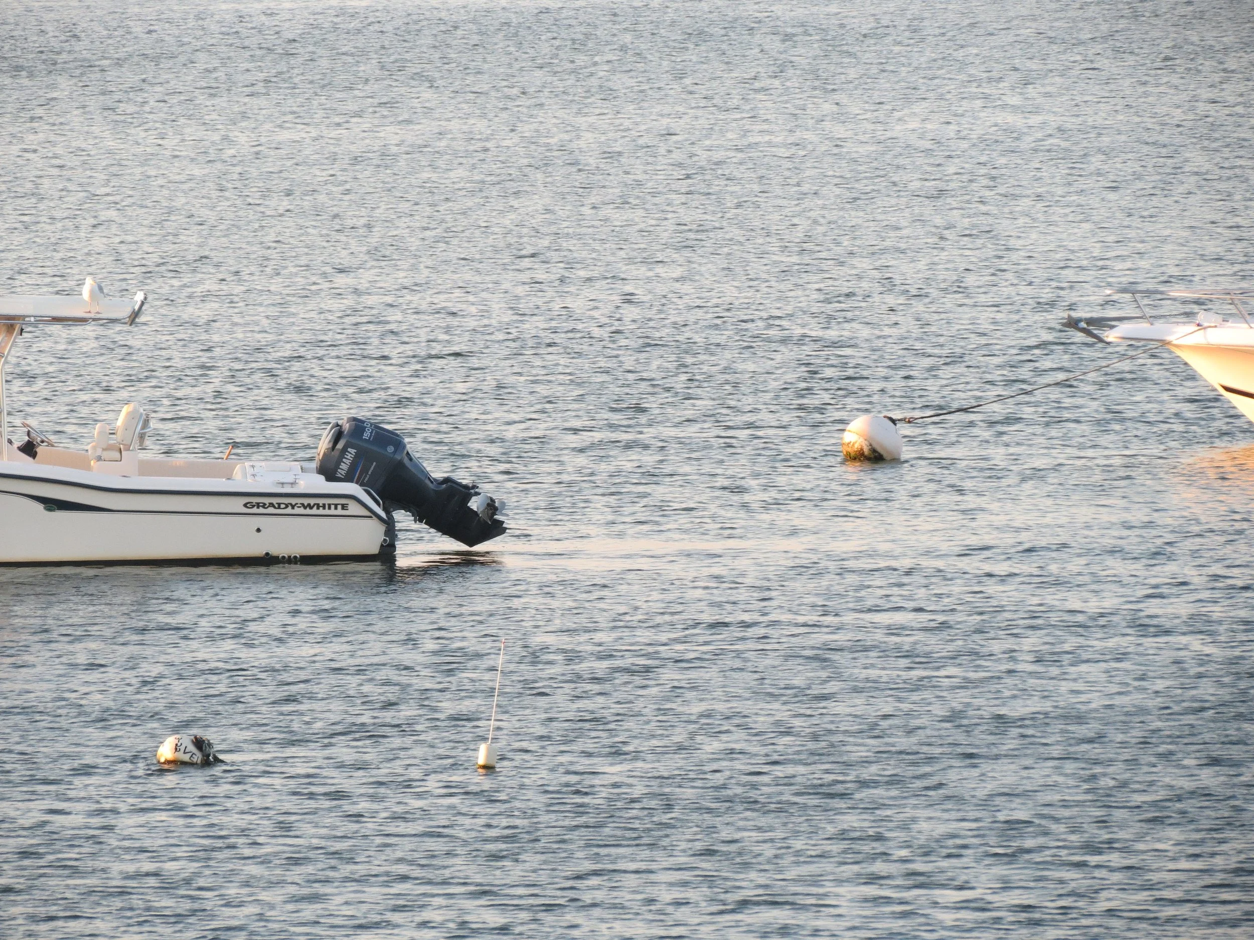 A boat with a Yamaha outboard motor floating on water next to several floating buoys.