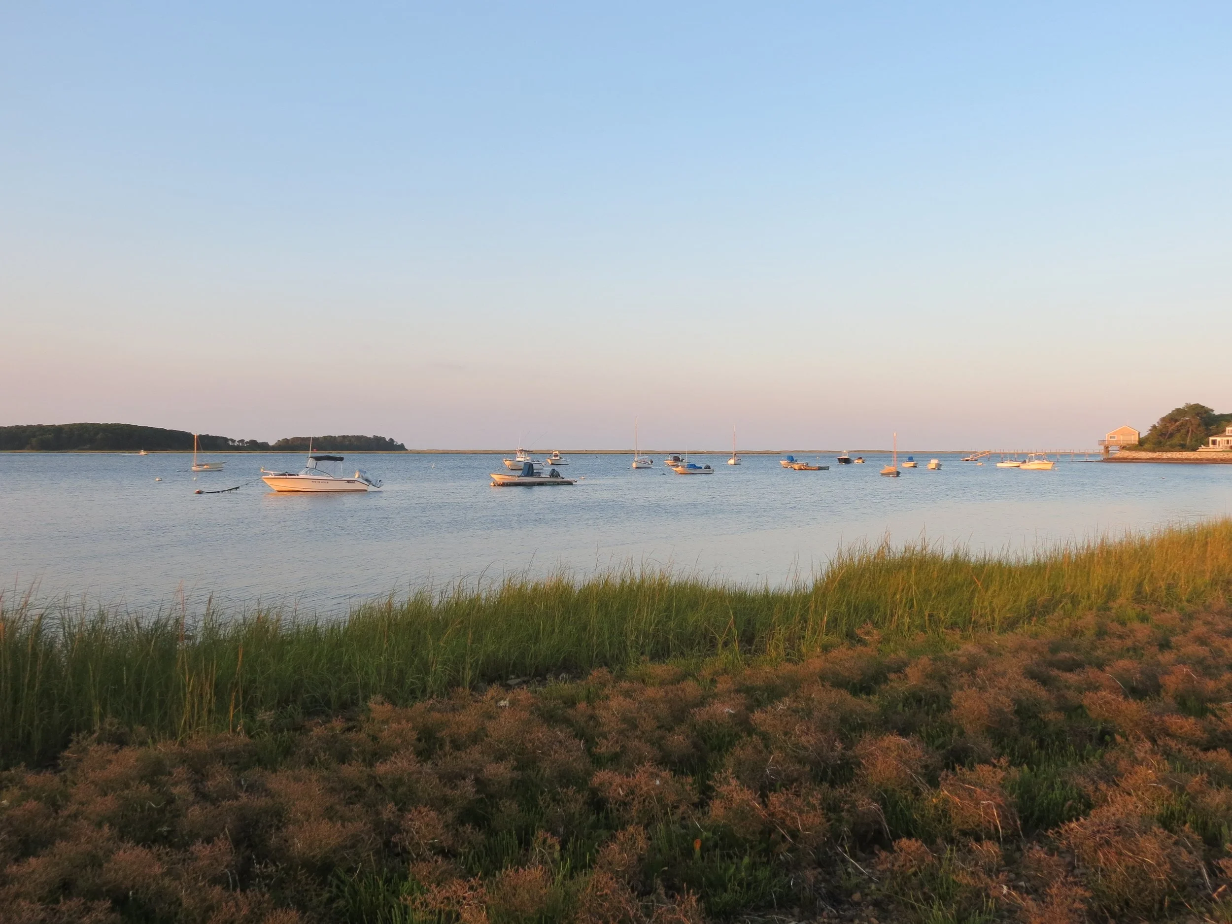 Boats anchored in calm water near a grassy shoreline at sunset.