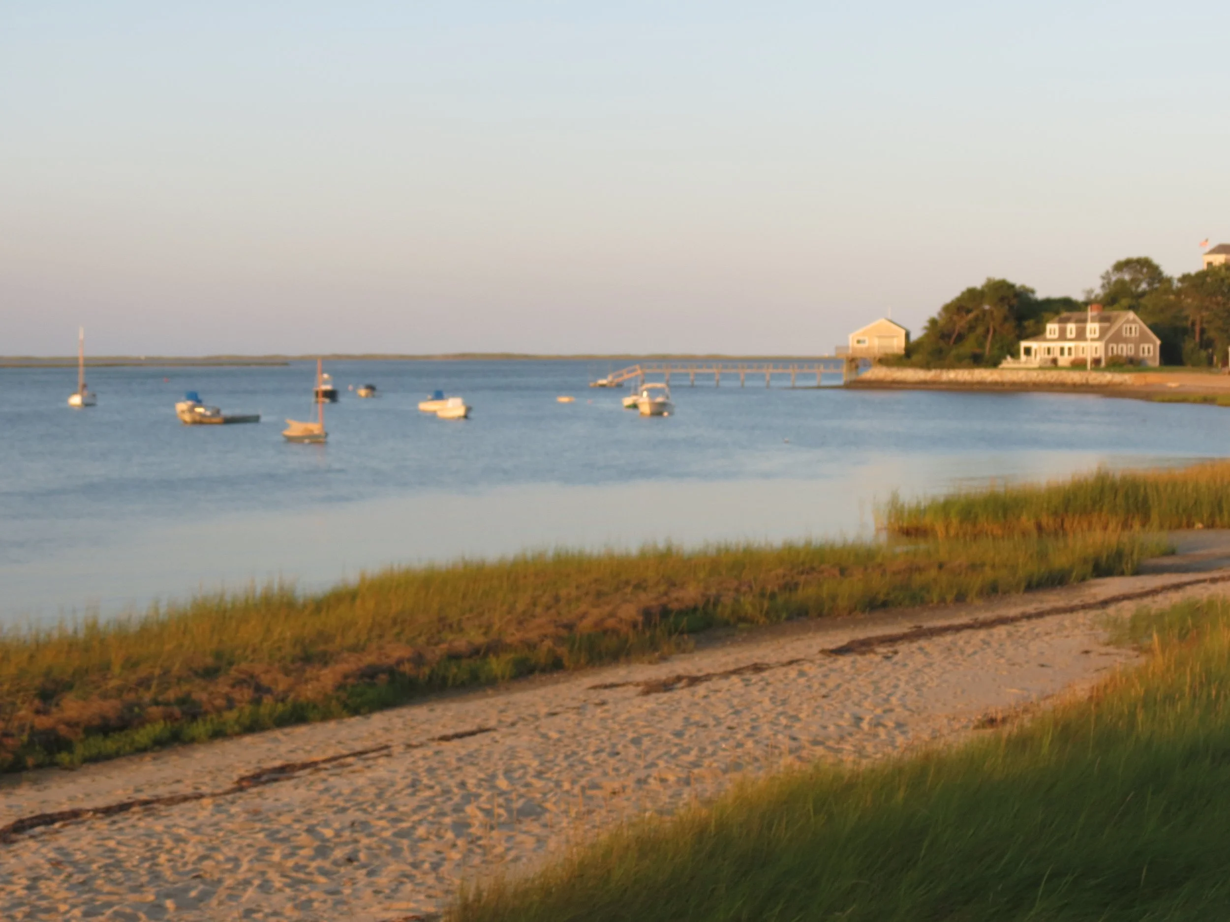 A peaceful coastal scene with sailboats anchored in calm water, a sandy beach with grass, and houses on a hill in the background. The sky is clear.