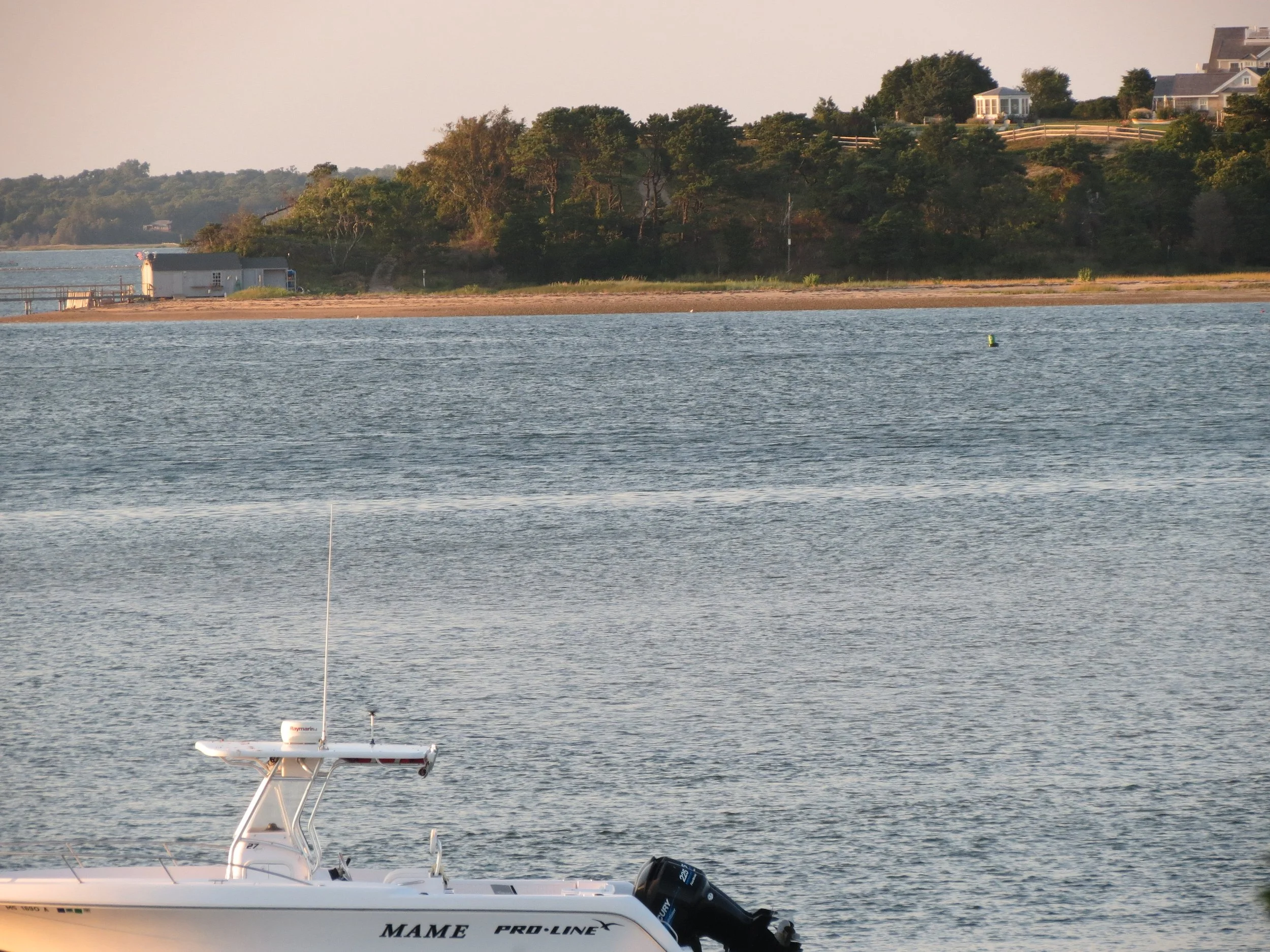 A white boat with the name 'MAME PRO-LINE' is on a body of water, with a shoreline and trees in the background.