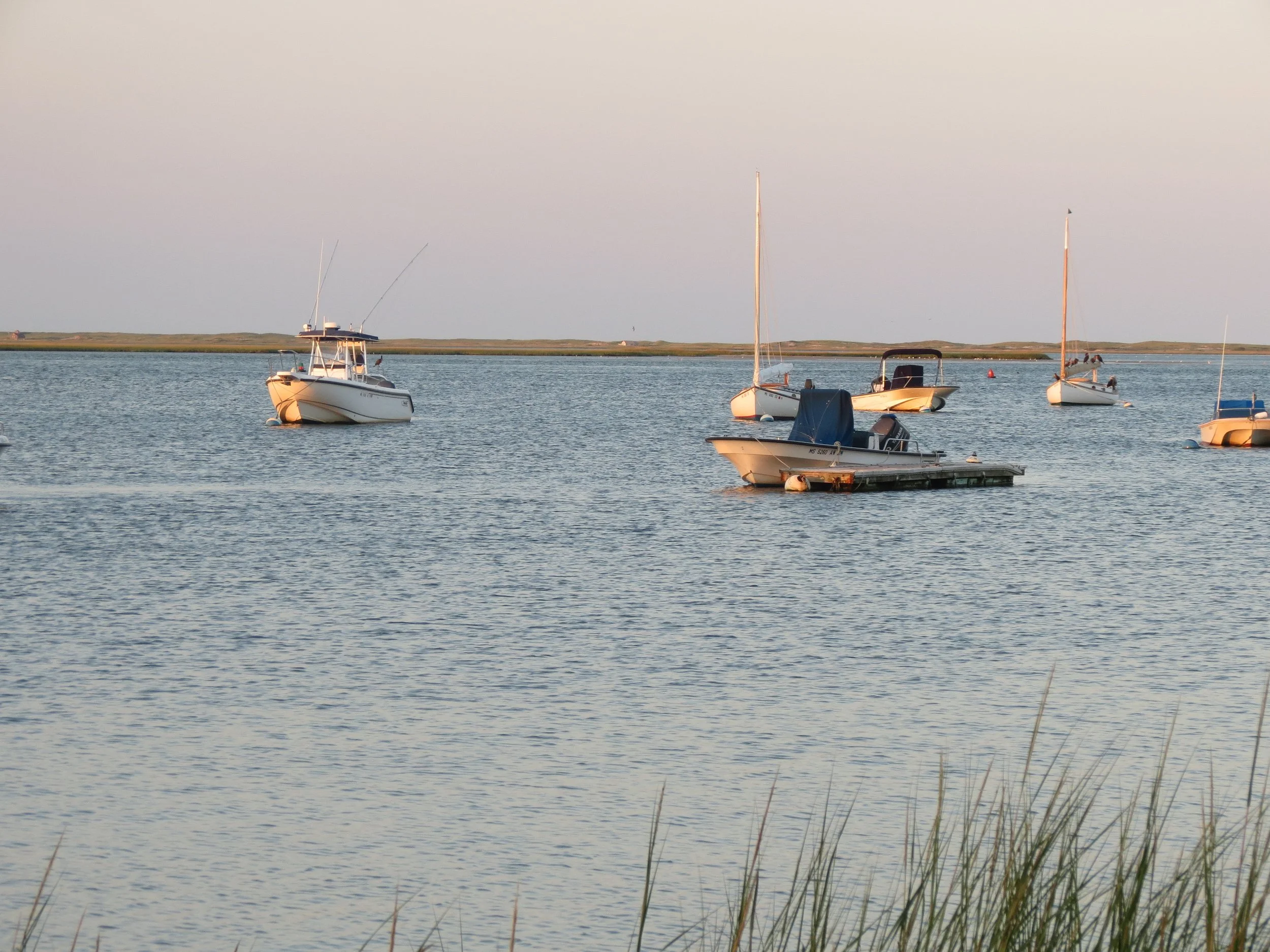 Several sailboats and motorboats anchored on a calm body of water during sunset, with grassy shoreline in the background.