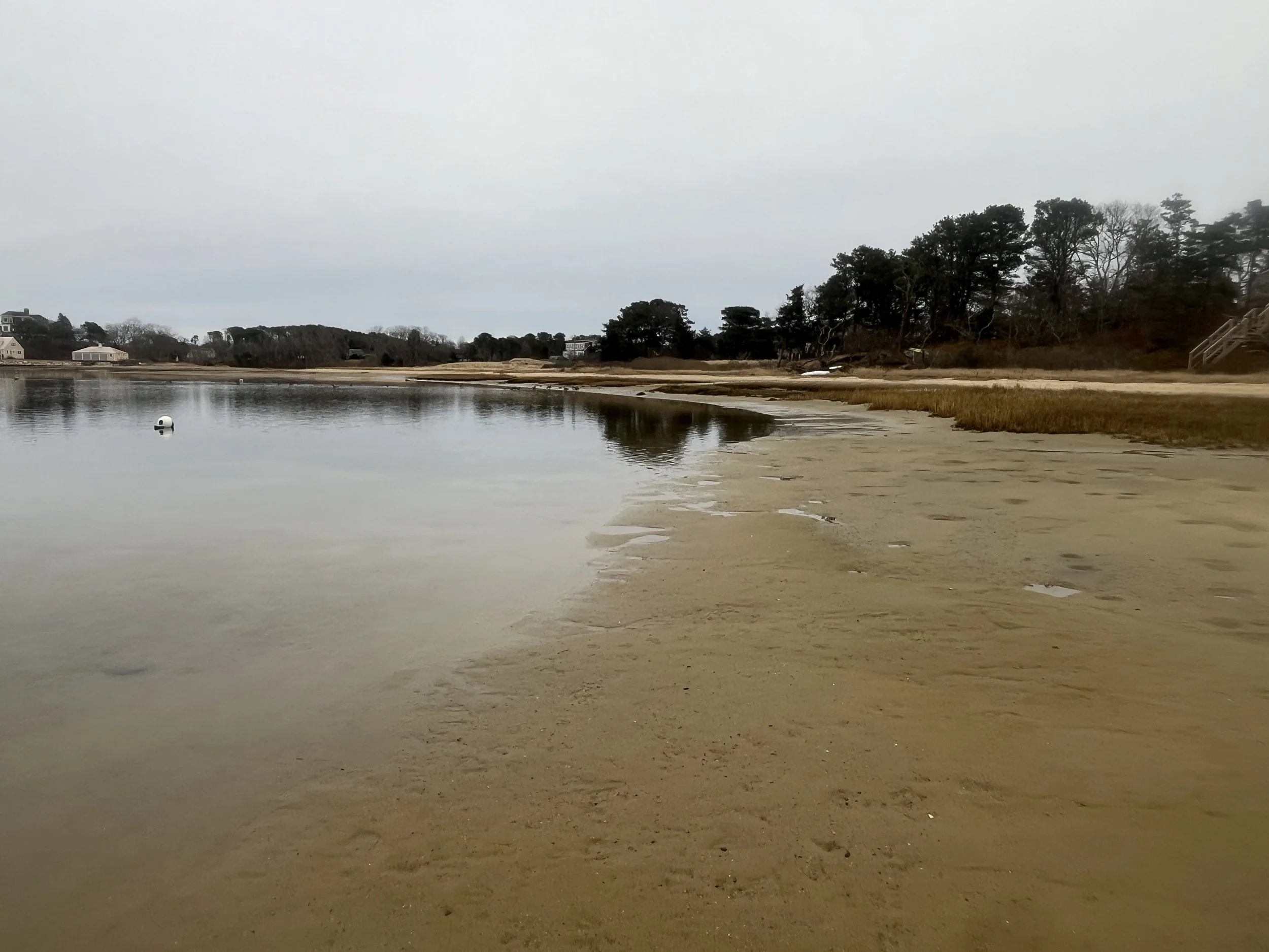 A calm, overcast beach with a sandy shoreline, marsh grasses, and a stand of trees in the background. A single buoy floats on the water.