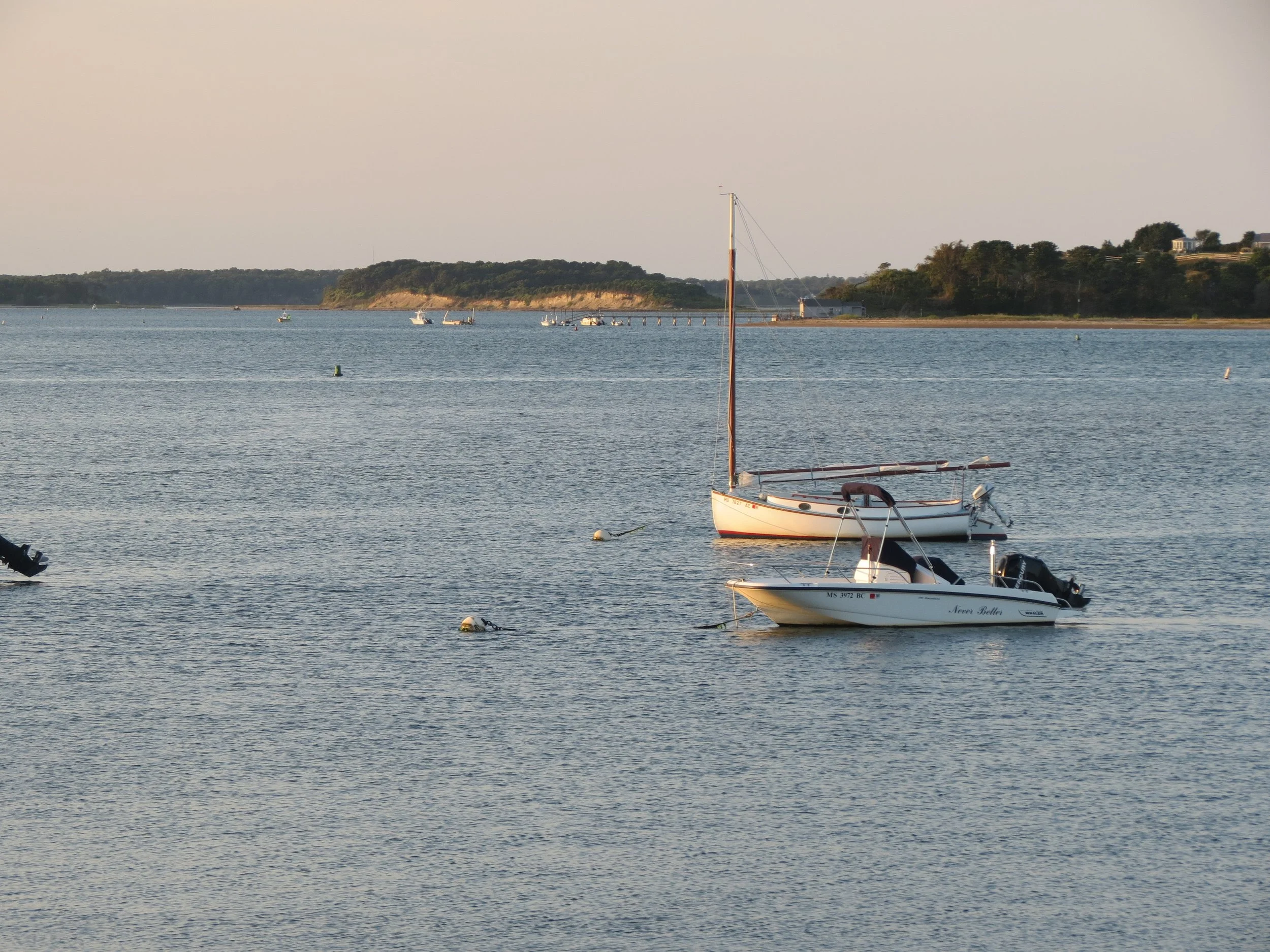 A calm body of water with two small boats anchored near the shore, with a distant coastline and a light gray sky in the background.