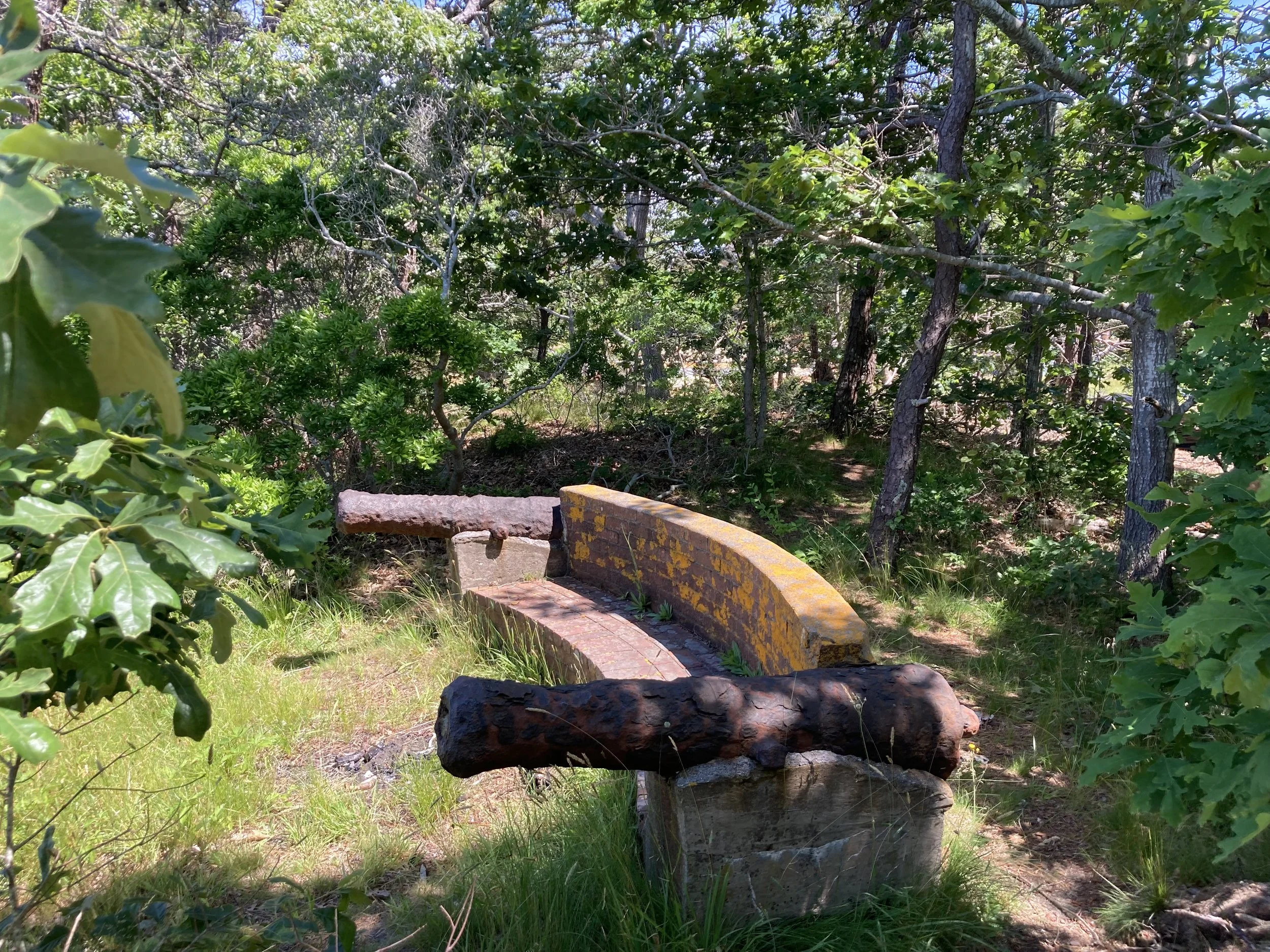 Rusty, weathered bench with metal armrests, surrounded by green wooded area with trees and grass.