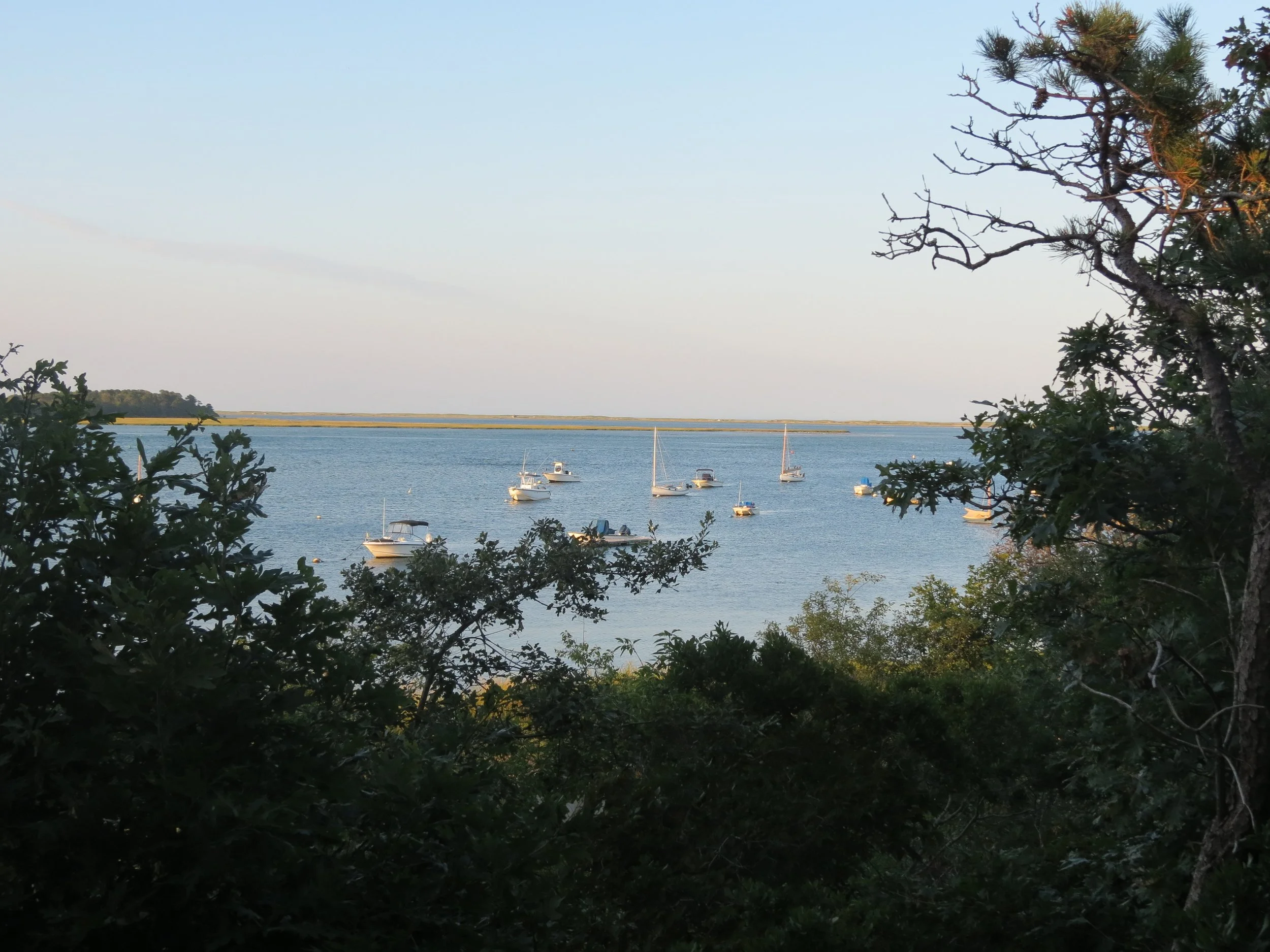Boats anchored in calm water viewed through trees and foliage.