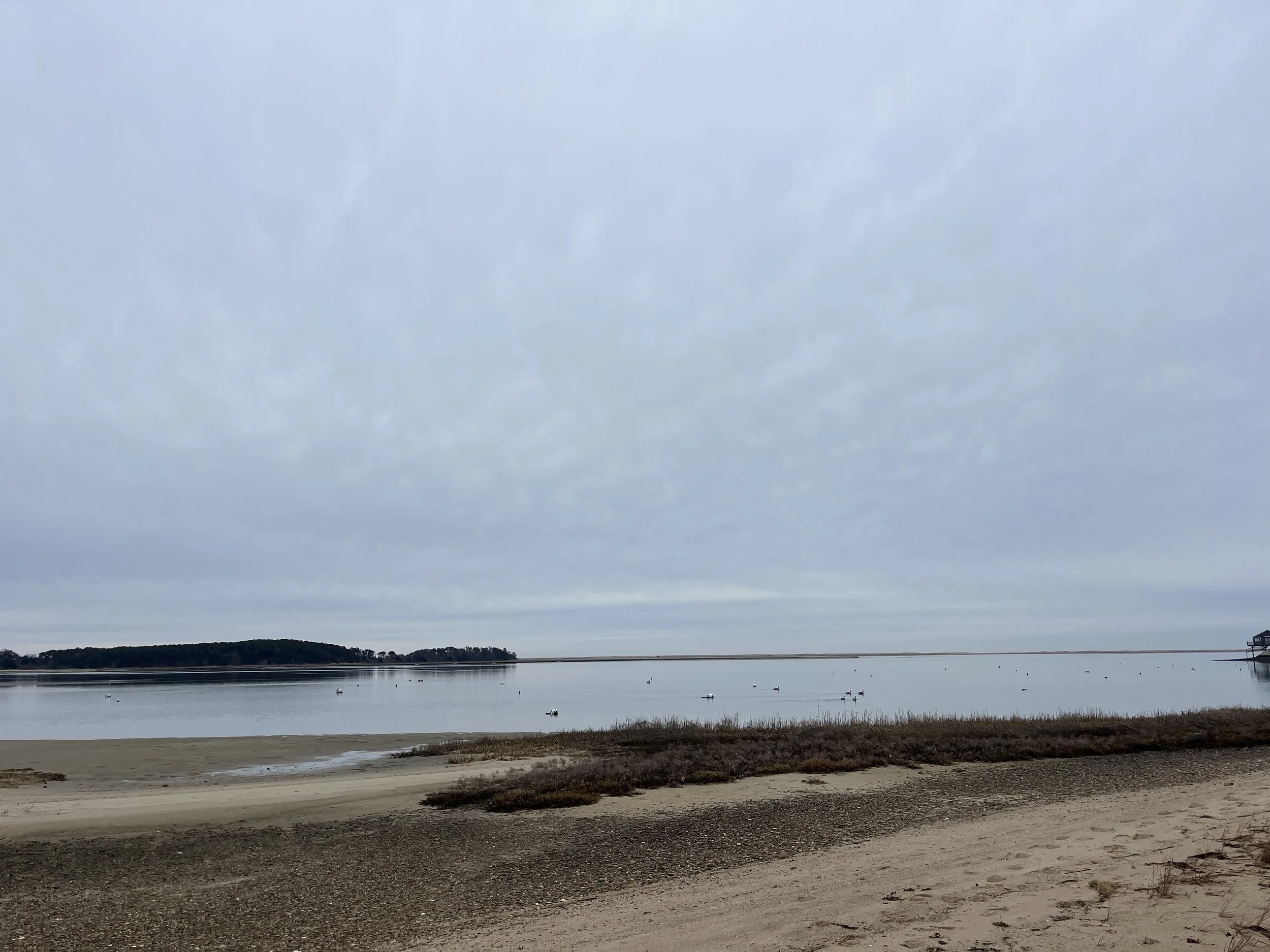 Overcast beach scene with calm water, seagulls, distant land, and a pier or house on the right.