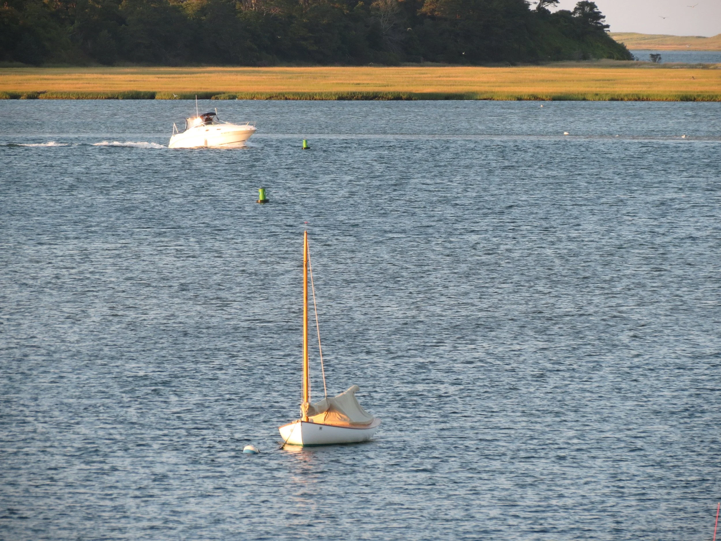 A sailboat is docked on the water in the foreground, with a motorboat speeding across the water in the background near a grassy shoreline and trees.