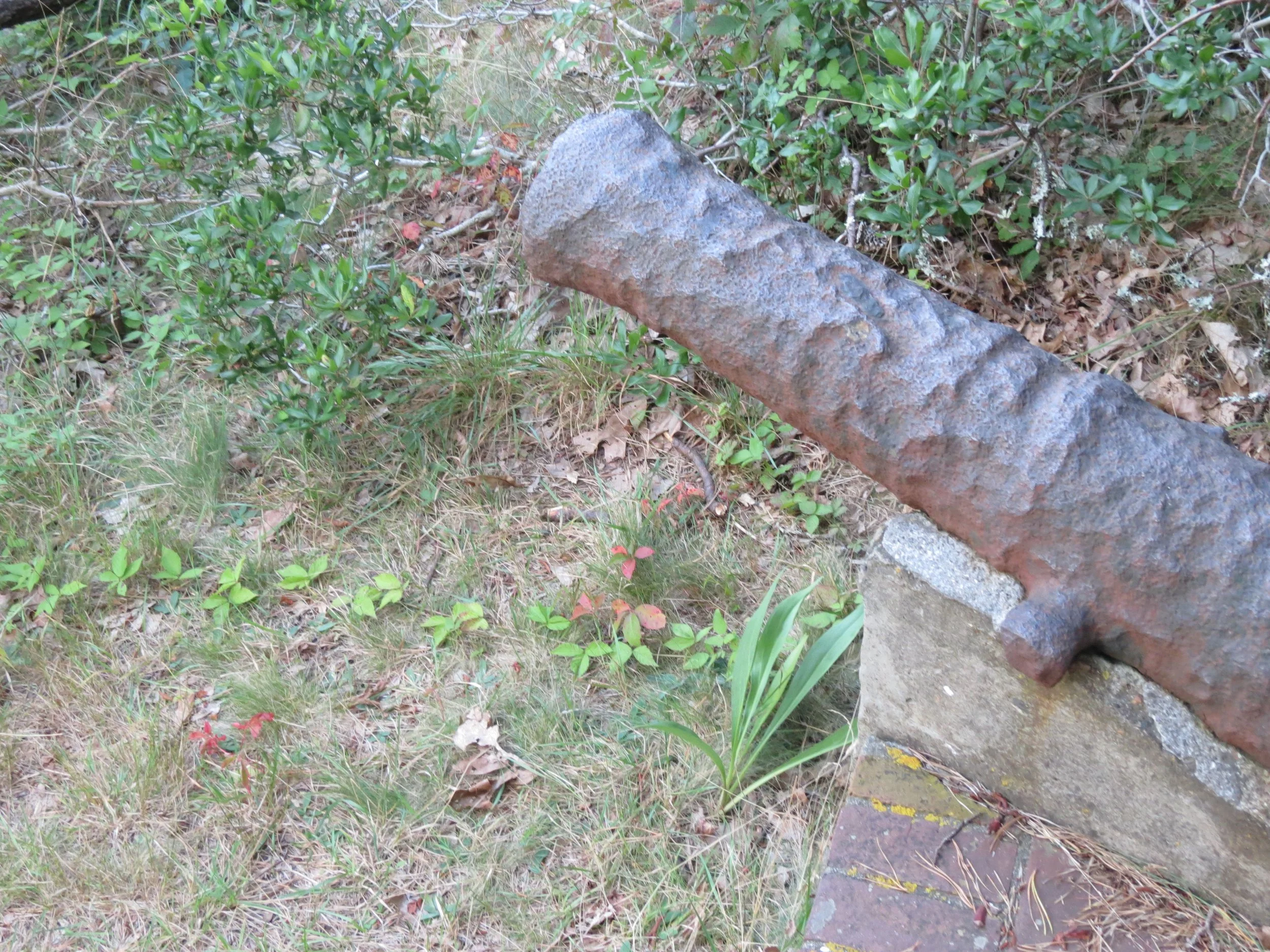 A rusted iron pipe leaning against a concrete block on grassy ground with scattered small plants and leaves.