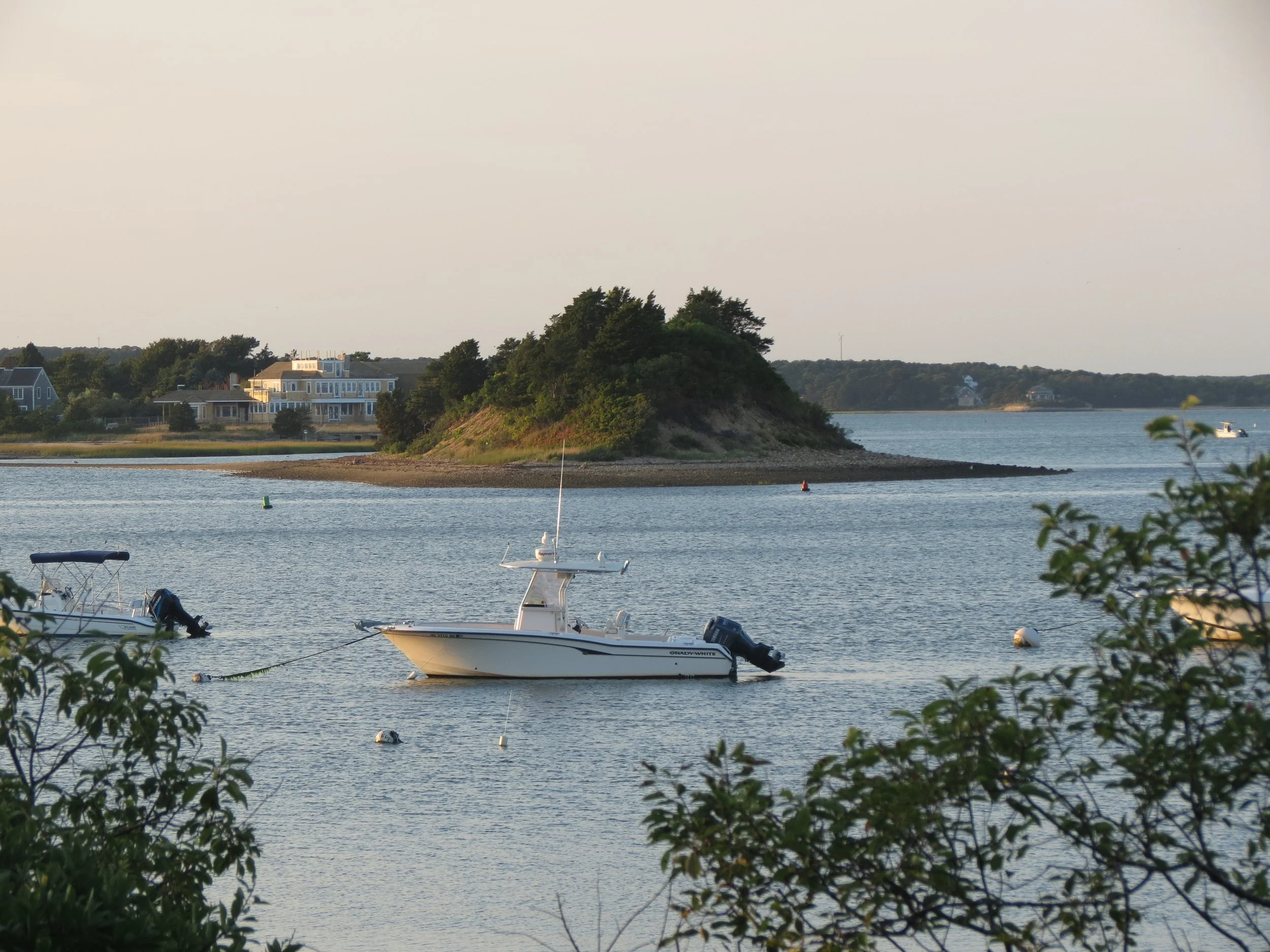 Boats anchored in a calm waterfront with a tree-covered hill and houses in the background during sunset.