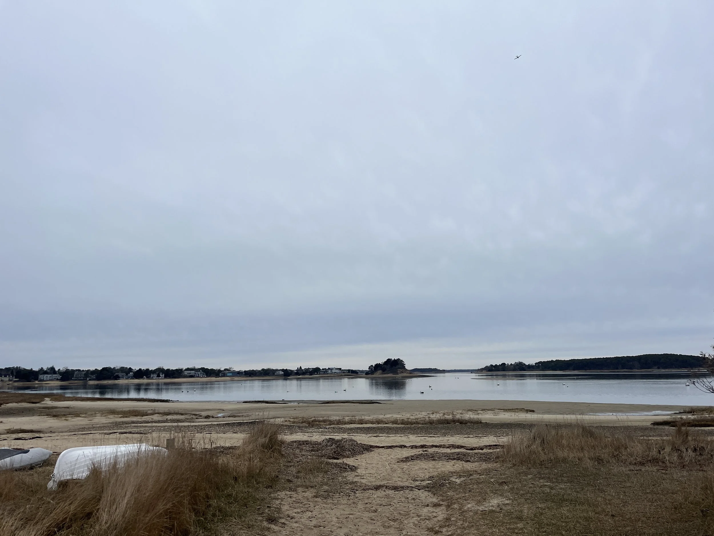 A beach scene with sand and grassy areas in the foreground, calm water in the middle, and houses along the shoreline in the distance under a cloudy sky.
