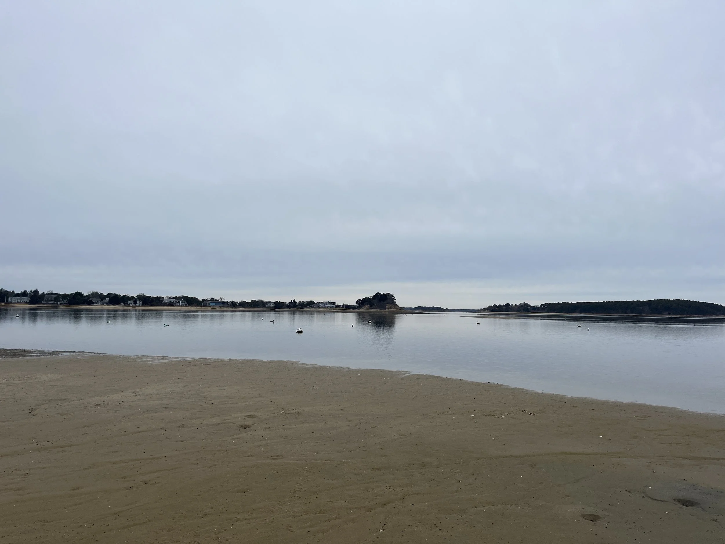 Overcast sky over a calm body of water with a sandy beach in the foreground and small islands or landmasses in the distance.