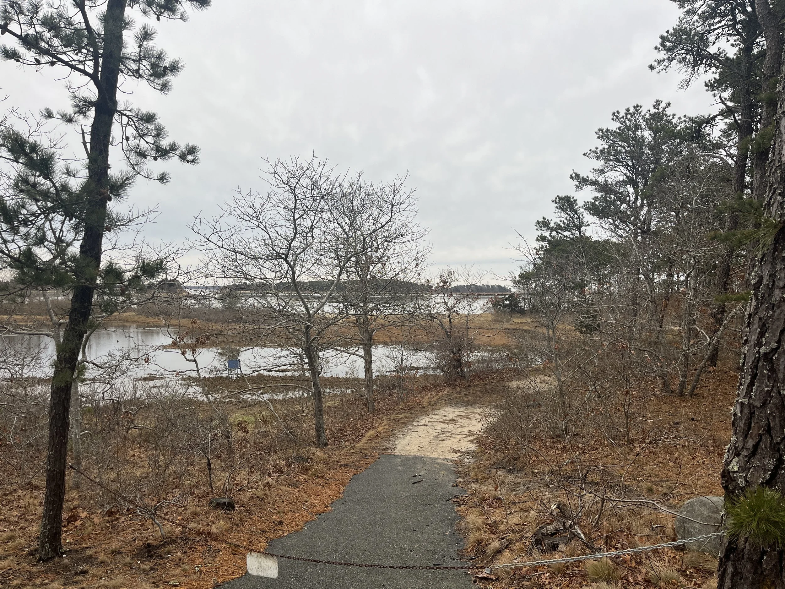 A winding trail in a wooded area near a body of water, with leafless trees and a cloudy sky.