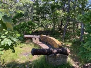 Cannons