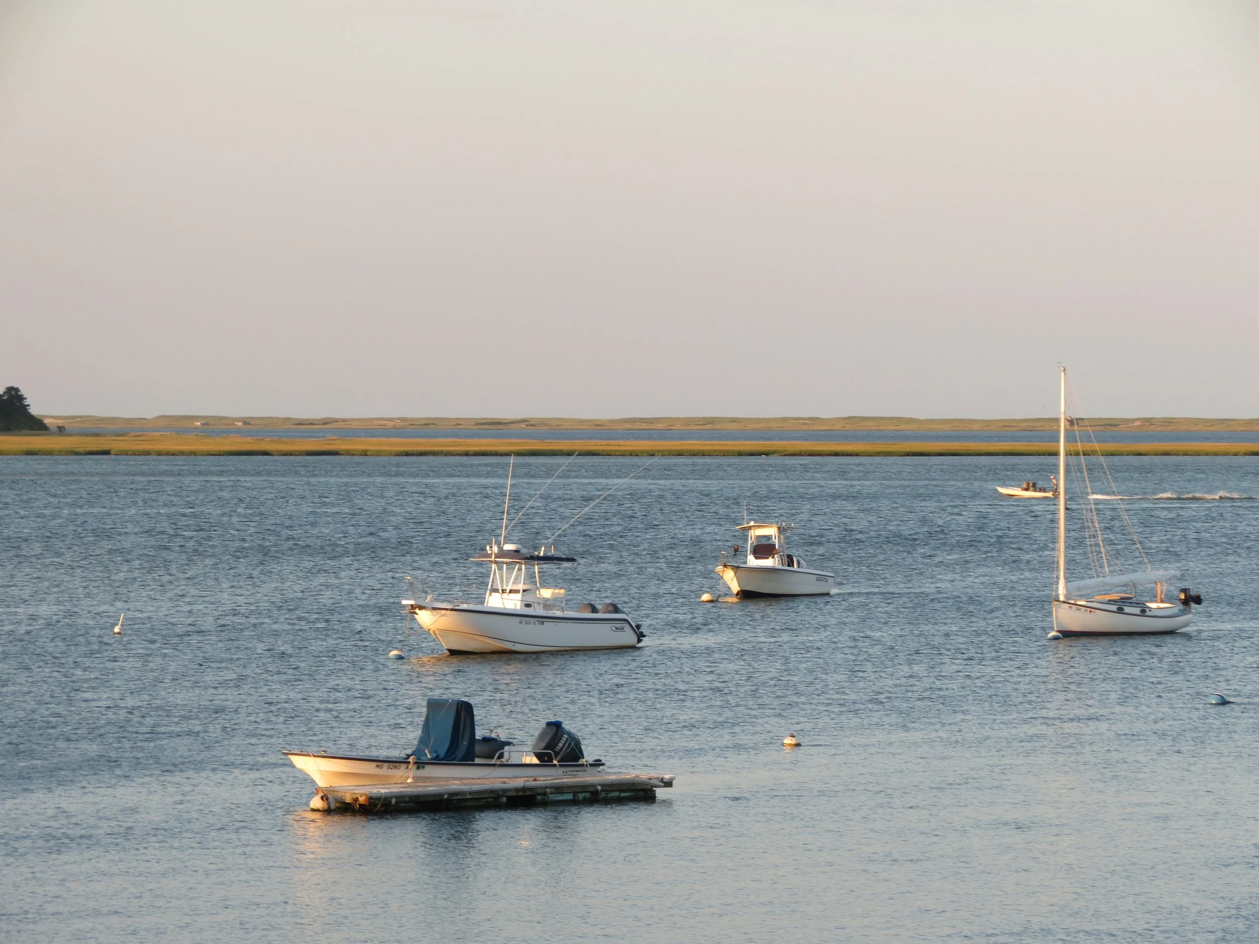 Several boats floating on calm water near a shoreline, with a grassy landscape in the background during sunset or sunrise.