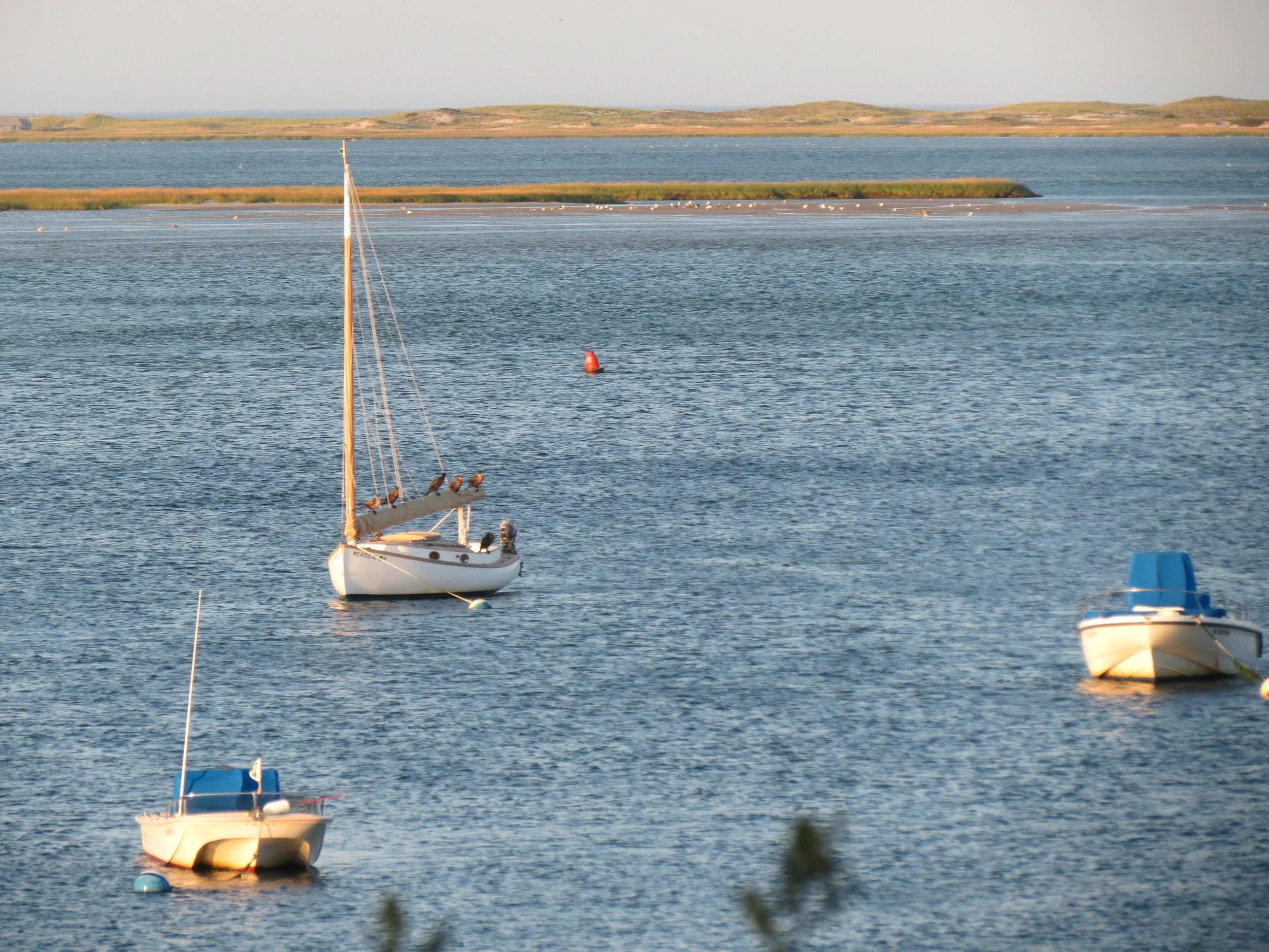 Calm body of water with three small boats floating, one with a blue cover, and a sailboat anchored nearby. In the distance, there is a green shoreline and a clear sky.
