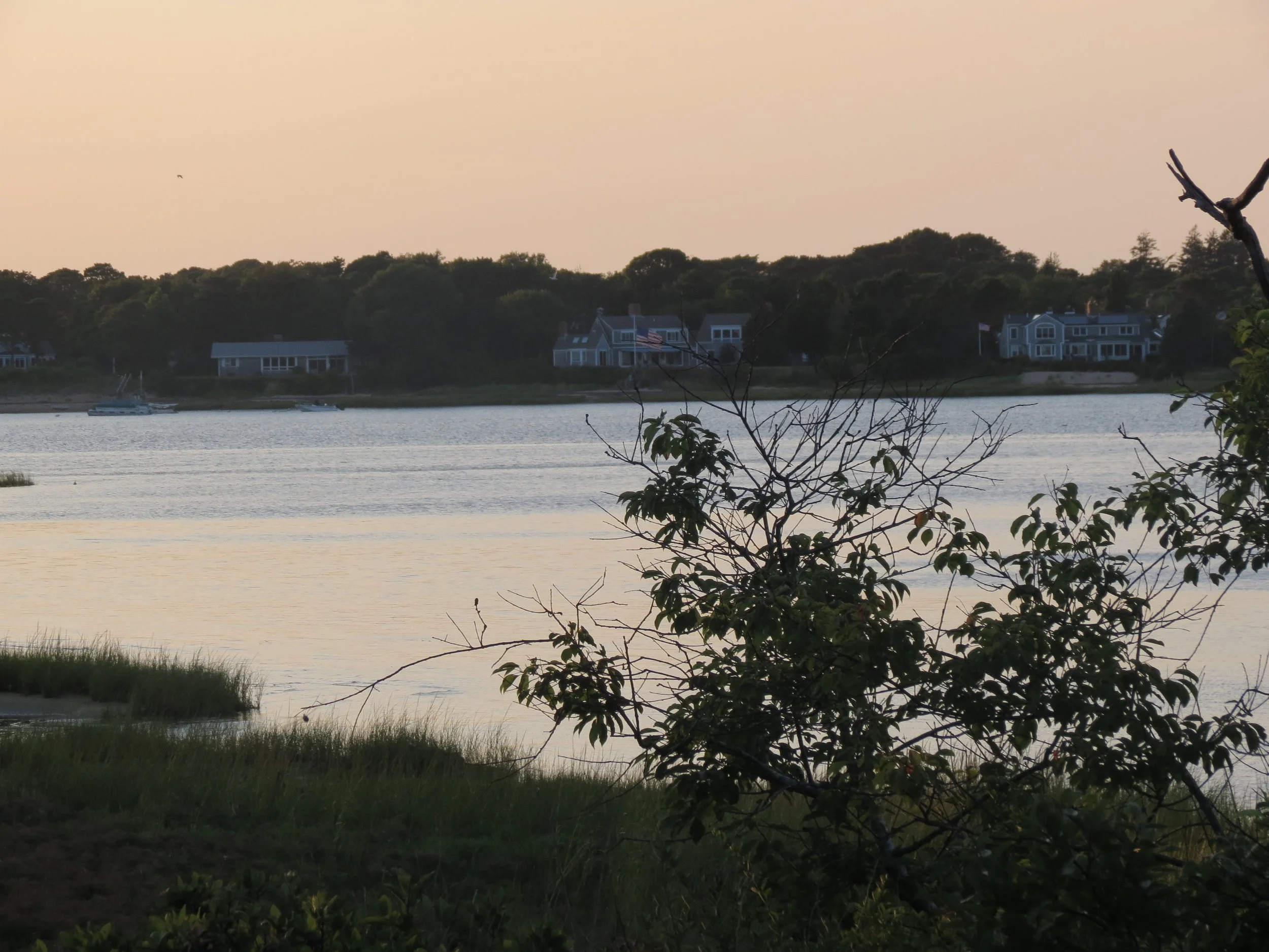 A serene lakeside scene at dusk with houses on the distant shoreline, a tree with bare branches and some green leaves in the foreground, and Calm water reflecting the soft colors of the sky.