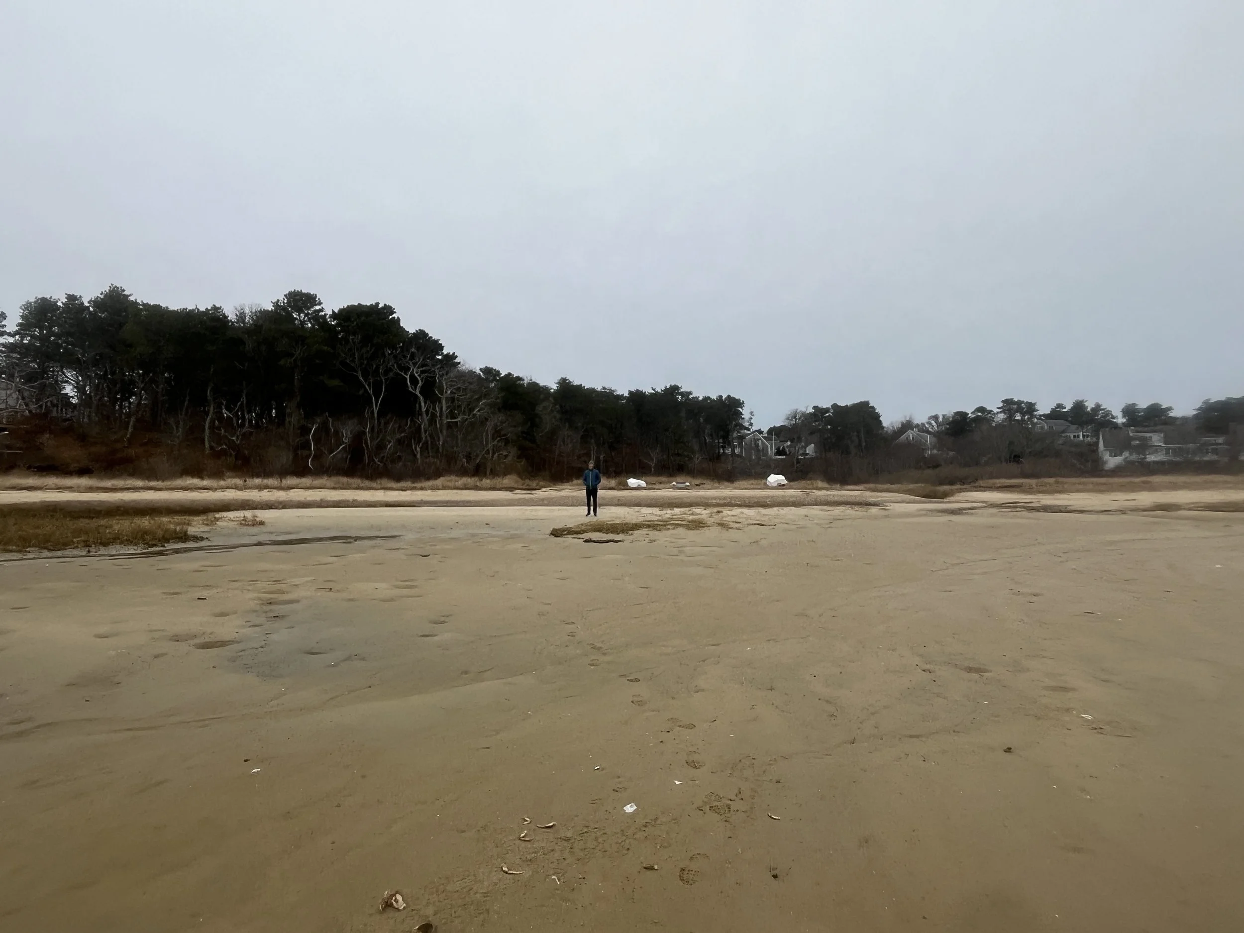 A person standing on a sandy beach near a wooded area with houses in the background and a cloudy sky overhead.
