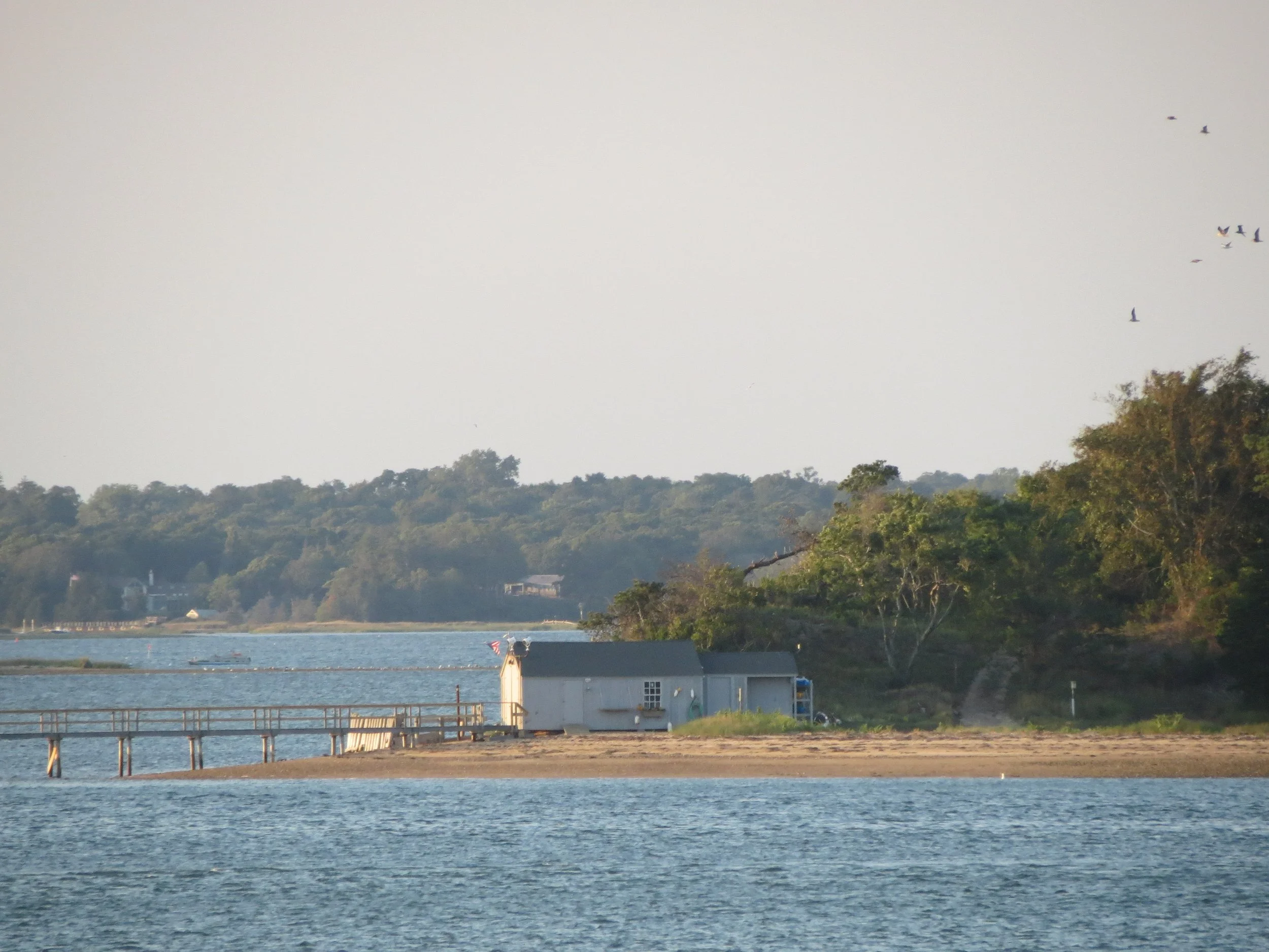 A small beachside building with a pier extending into water, surrounded by trees and hills, with birds flying in the sky.