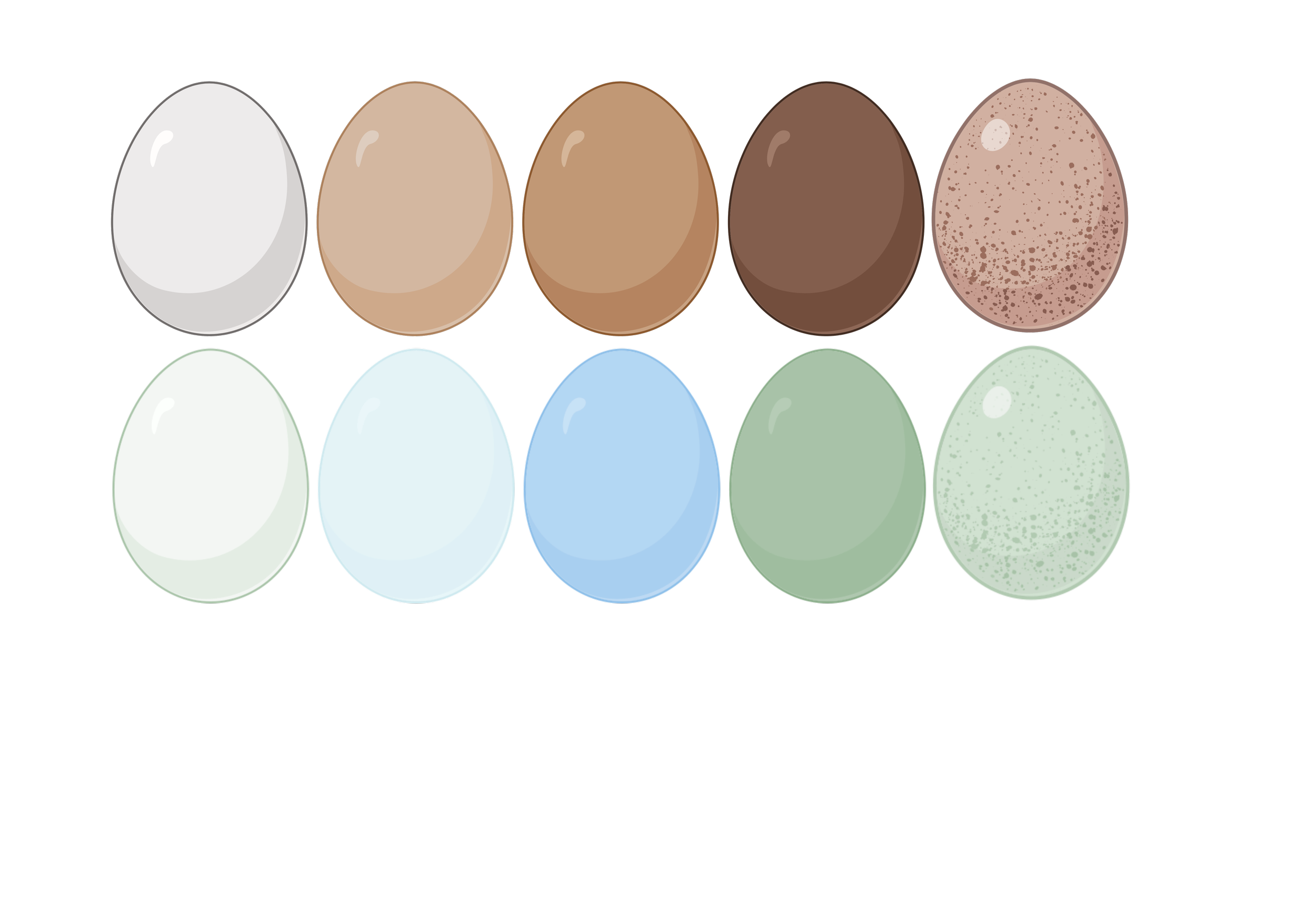 Blood Sample Collection Kit - 20 Samples