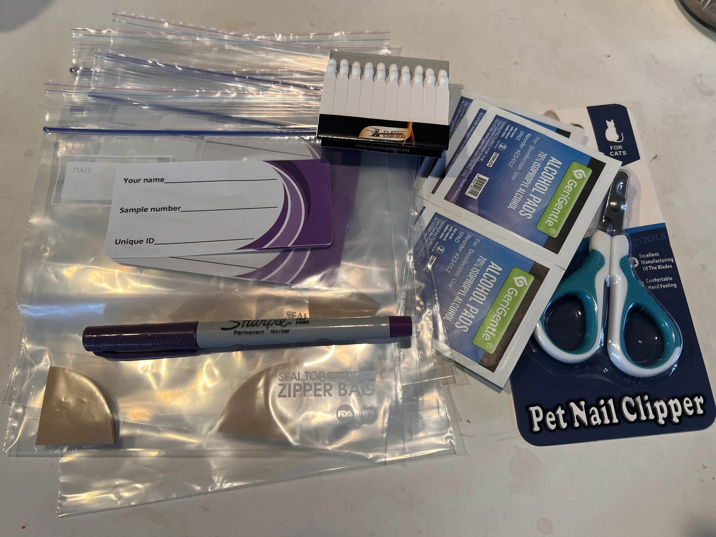 Blood Sample Collection Kit - 10 Samples