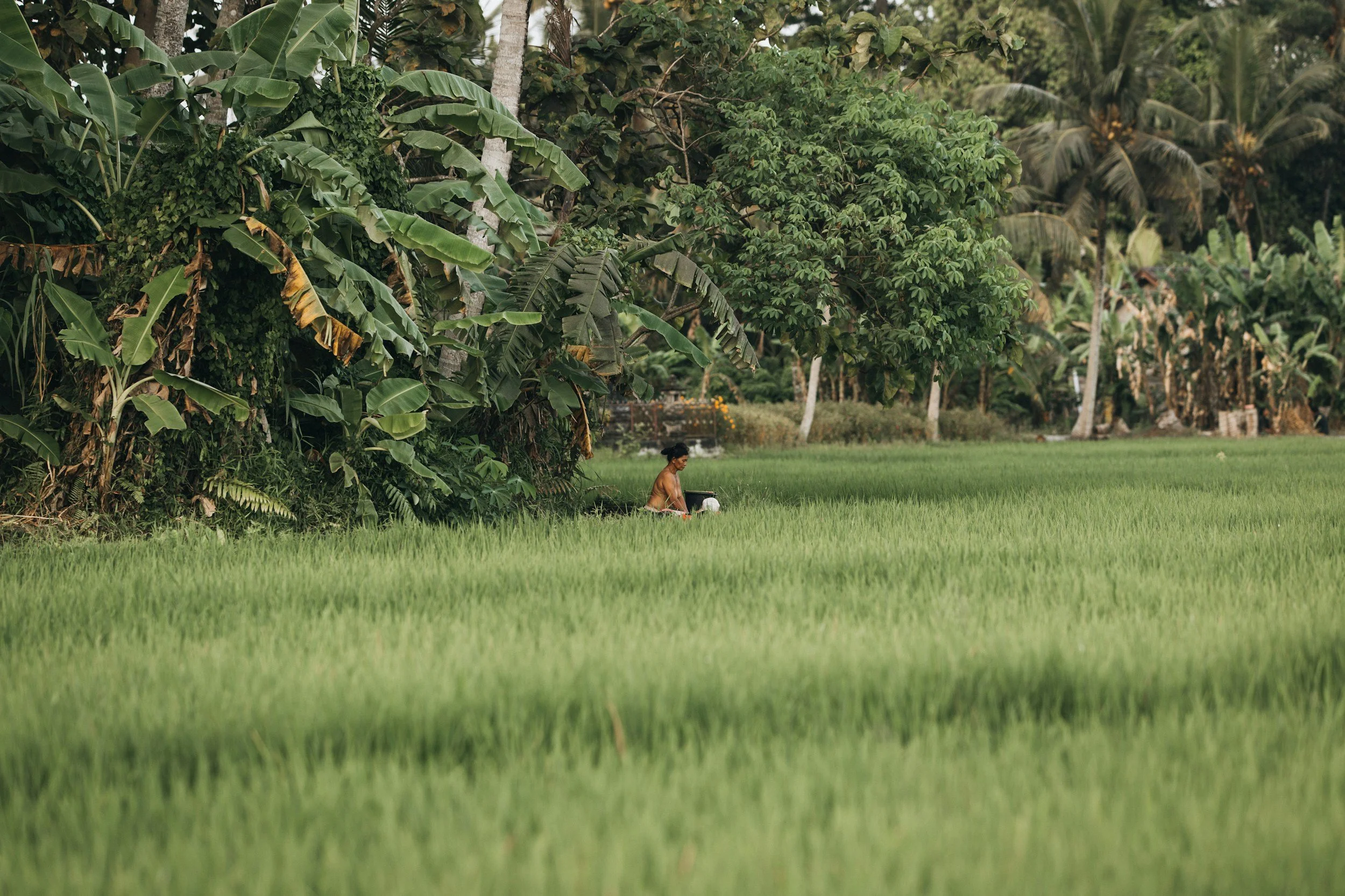 Wellcome Trust — Evaluation of the Climate Impact Awards Programme