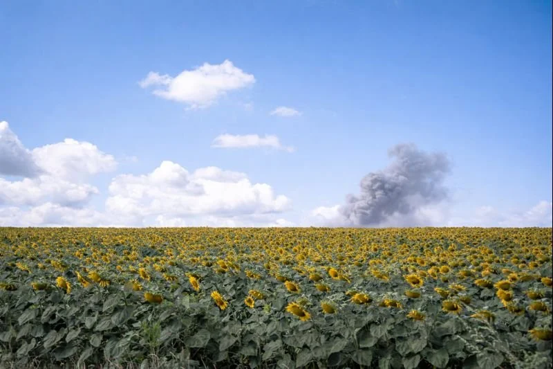 ChatGPT Image Jan 6, 2026 at 11_15_09 PM.png