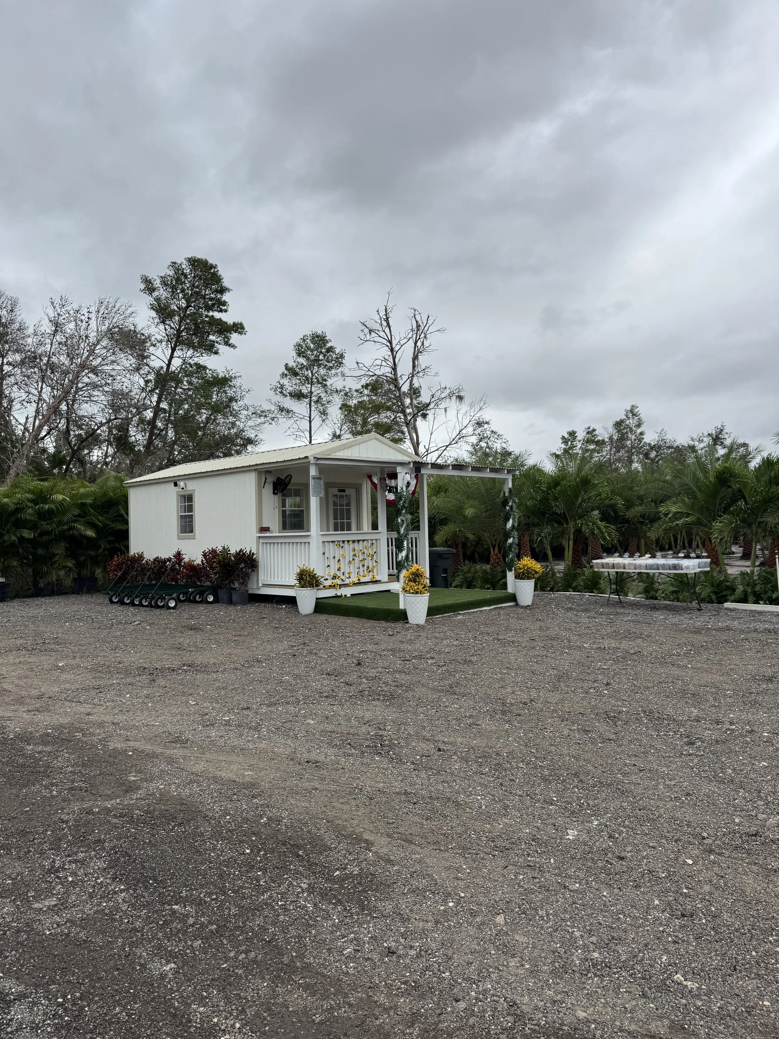 A small white house with a porch decorated with yellow flowers, potted plants, and bunting, set on a gravel lot with palm trees and overcast sky in the background.