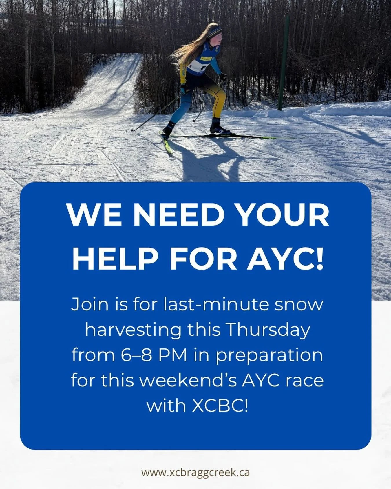 Your efforts will make AYC possible, let&rsquo;s get the trails ready! 

Spread the word, grab your friends, and come make a difference in the snow! 

Sign up with BCT to volunteer and be part of the action.

Email clubpresident@xcbraggcreek.ca with 