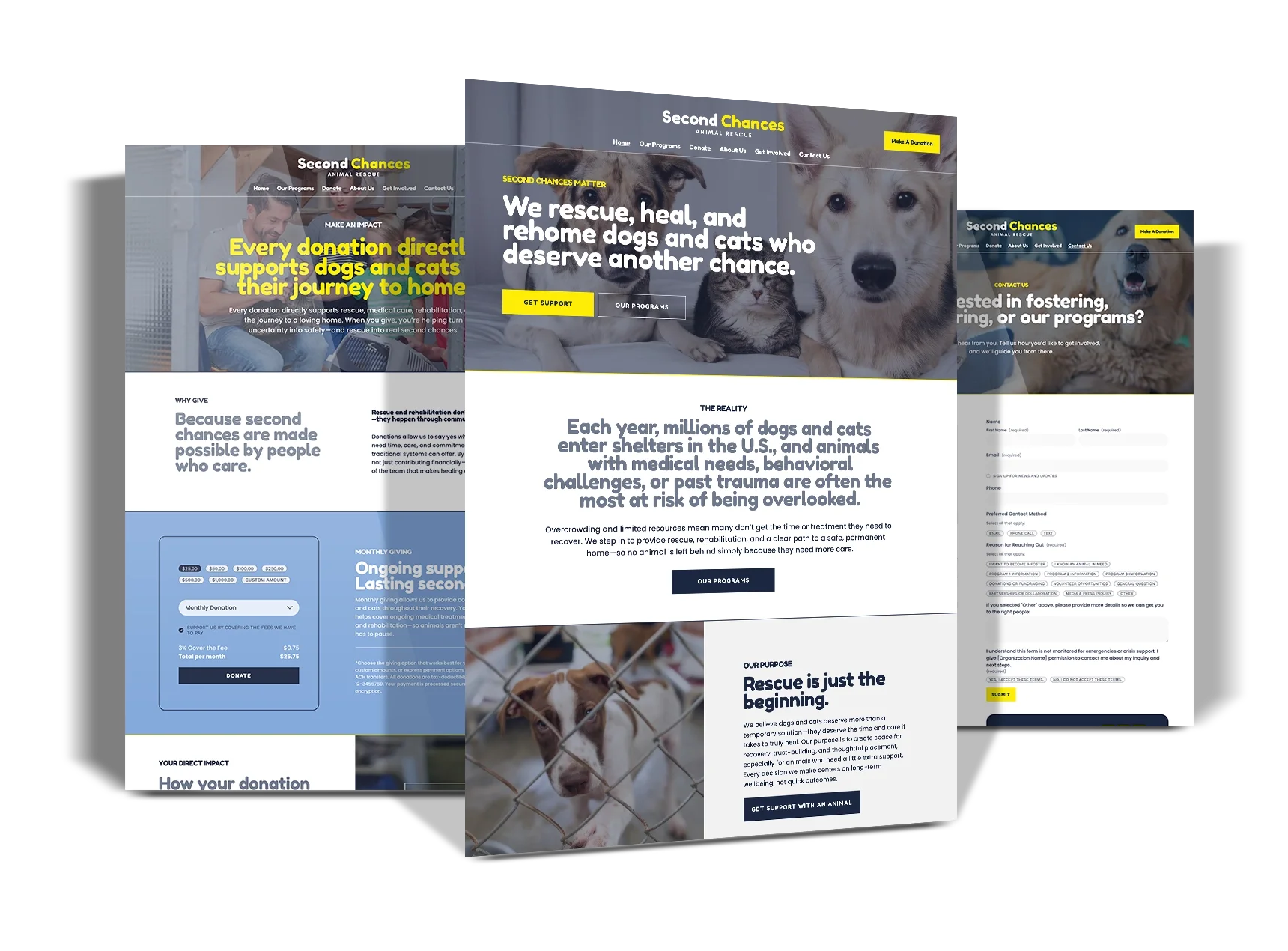 Second Chances Starter Squarespace Template (5 pages)