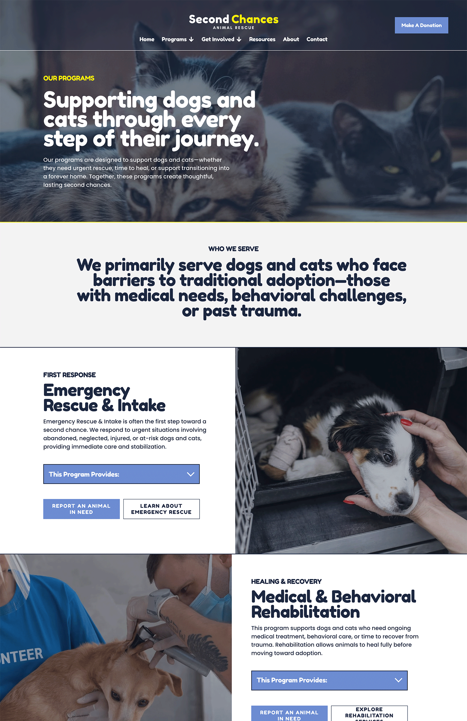 An image of the Second Chances template programs page structure