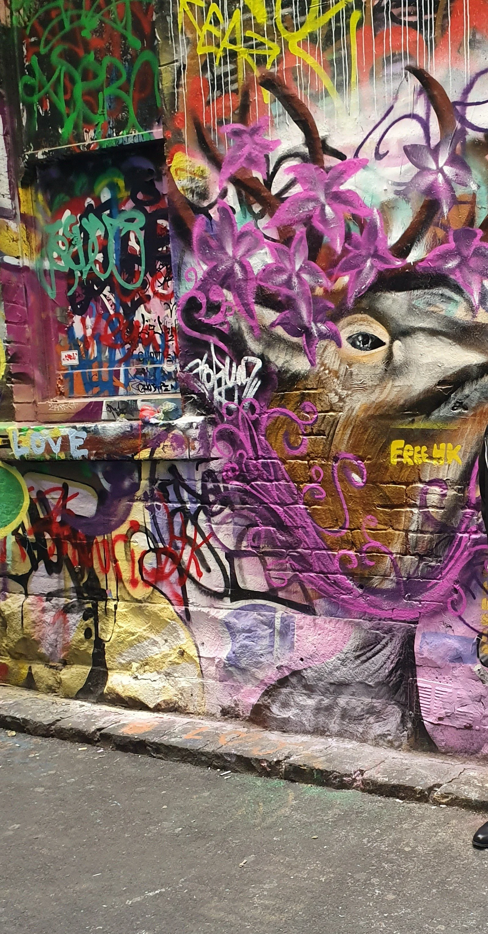 Melbourne Graffiti Walking Tour