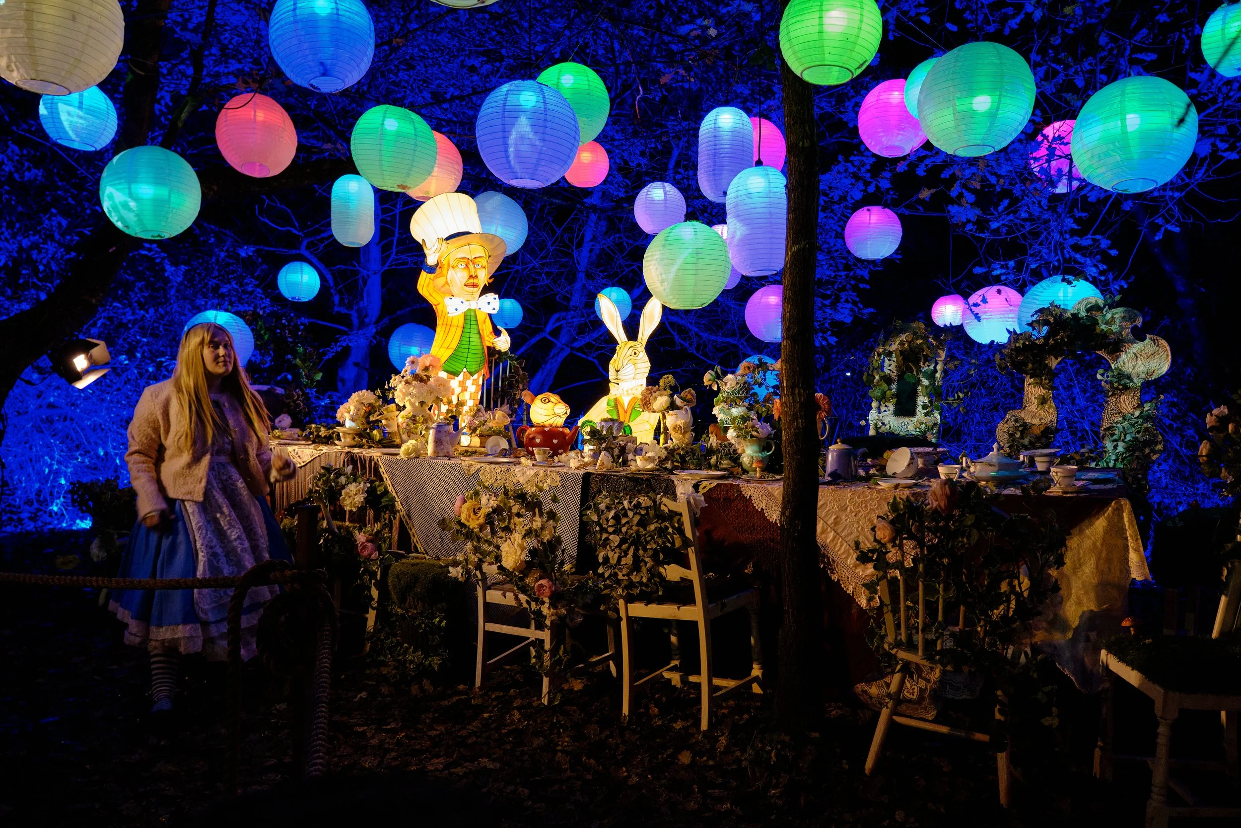Webbs - THe Enchanted Gardens - Wonderland 201124 056.JPG