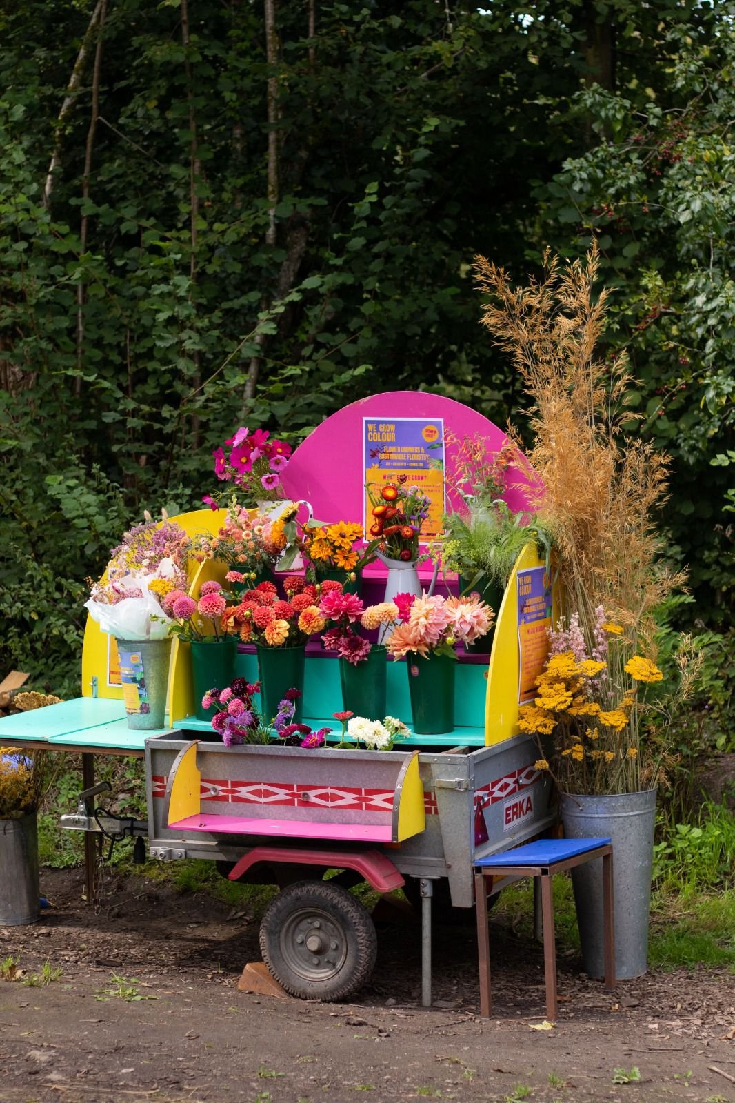 4f152b98-5bc8-4891-9fd6-fa0e12308d7a 2.JPG