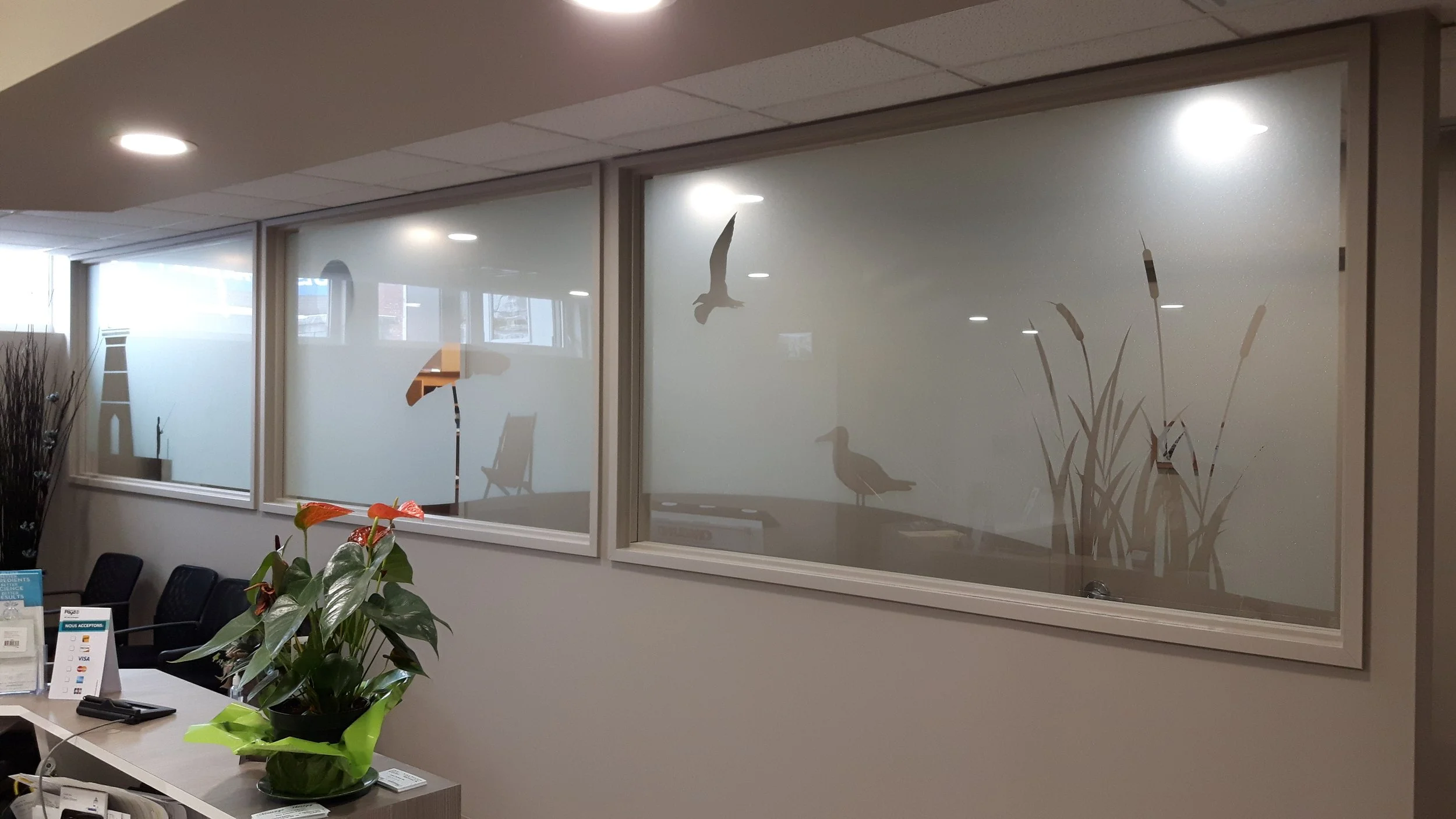 Decorated office window with silhouettes of birds and cattails, with a potted plant on a reception desk below.