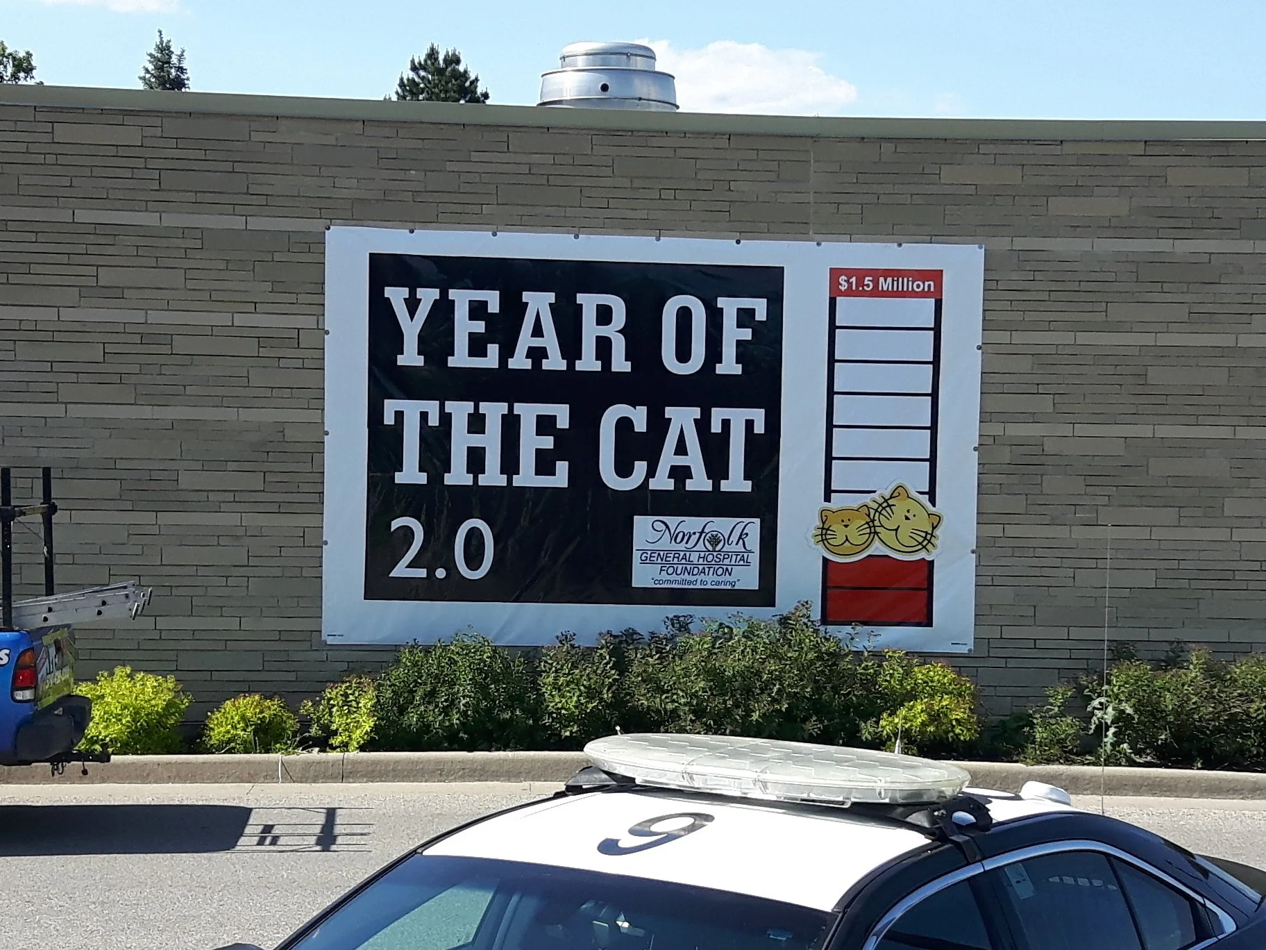 A large billboard on a brick building displays text celebrating the 'Year of the Cat 2.0' with a donation goal of $1.5 million. The billboard features a graphic of two cartoon cat faces, a fundraising goal tracker, and a logo for Norfolk General Hospital Foundation. Cars are parked in front of the billboard, with green bushes below.
