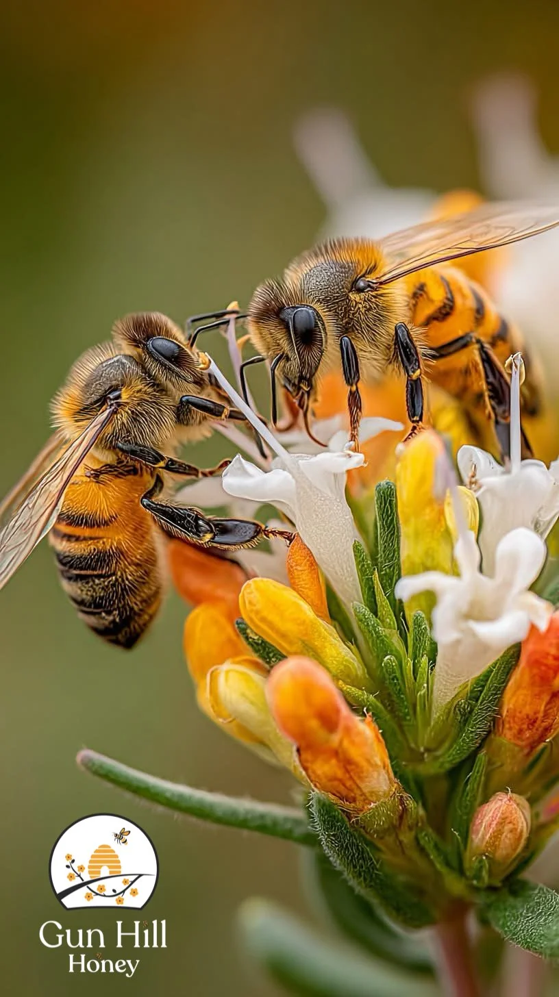 watermarkPhoto-0 (2).jpeg