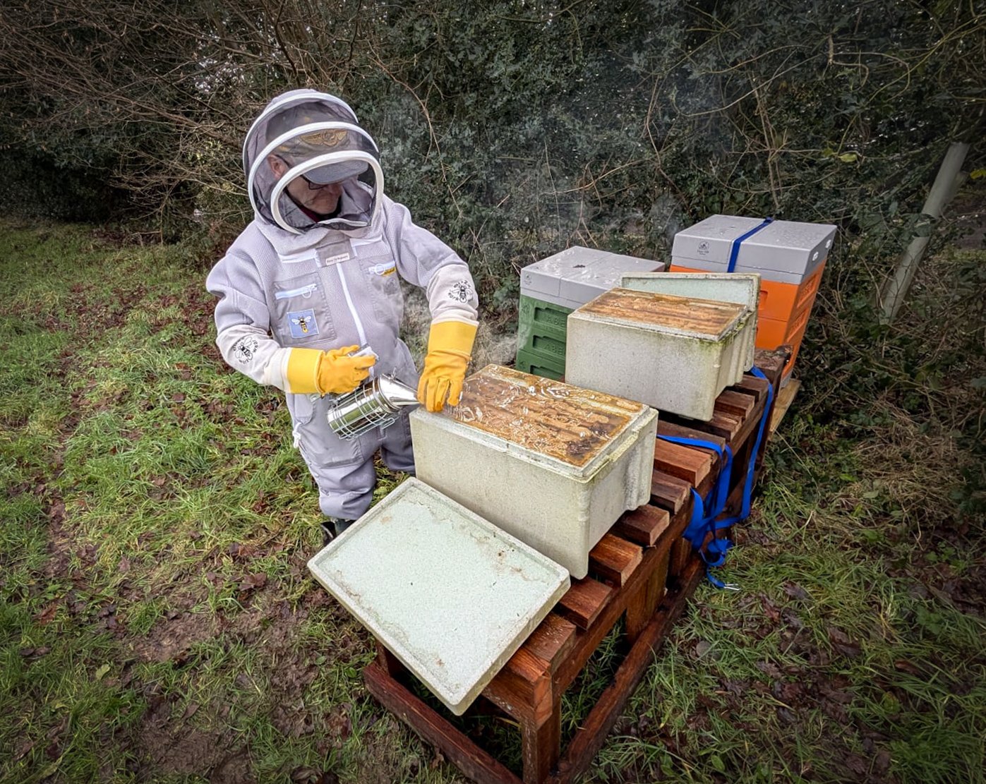 Feeding the bees during the cold winter