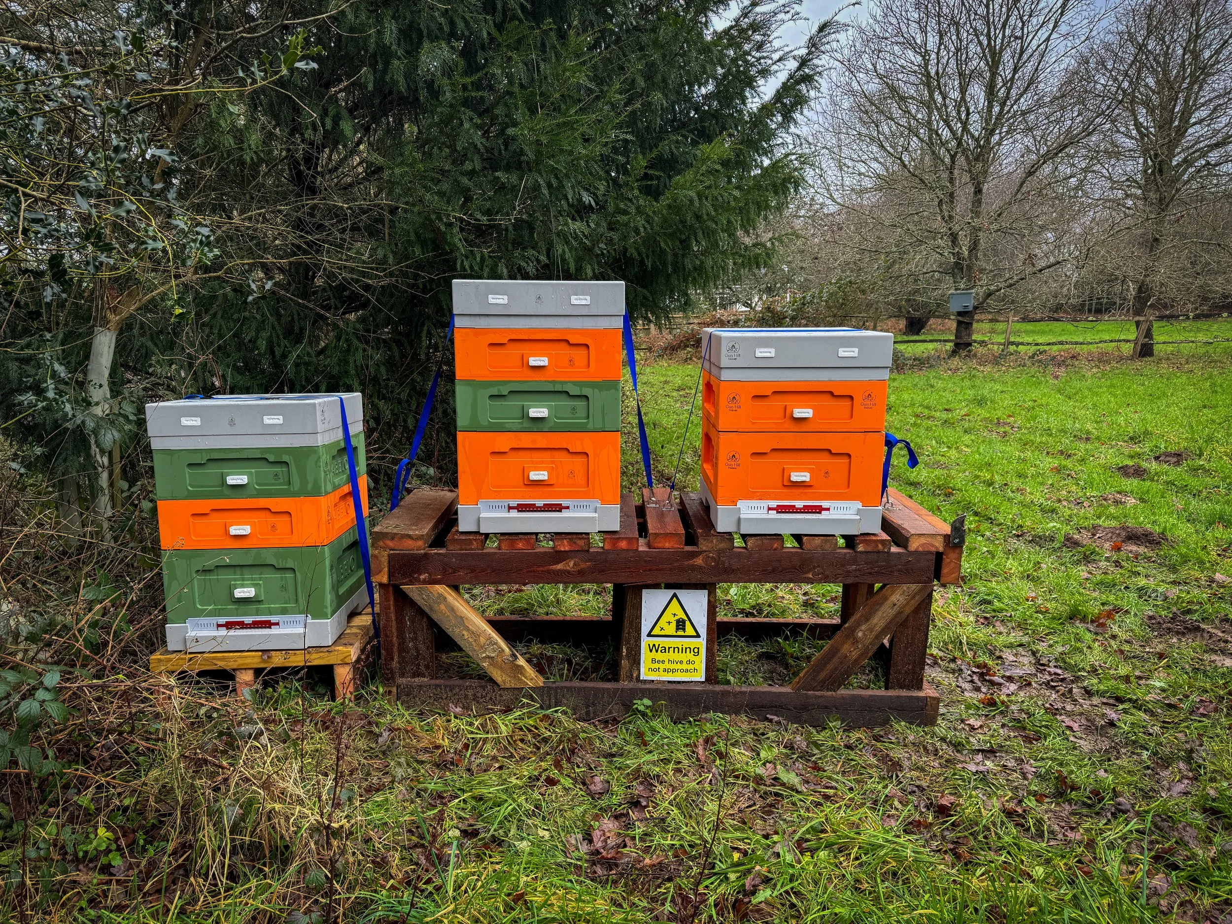 New hive location in Gun Hill