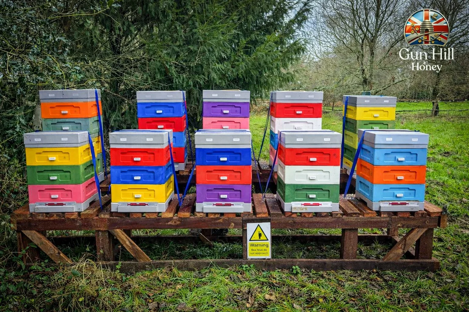 The vibrant Ives match the intensity of our beautiful honey.