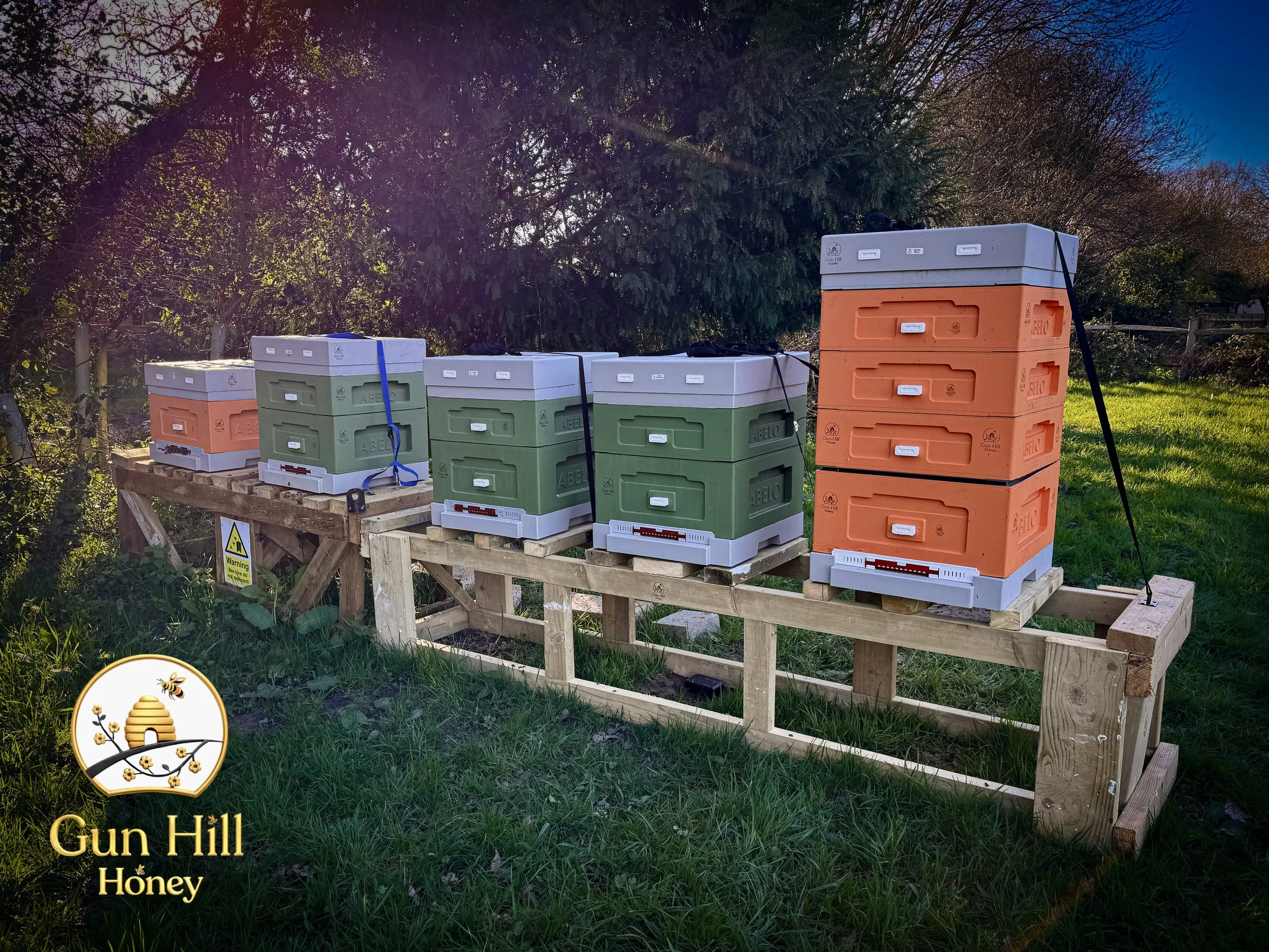 Some of our premium wild meadow hives