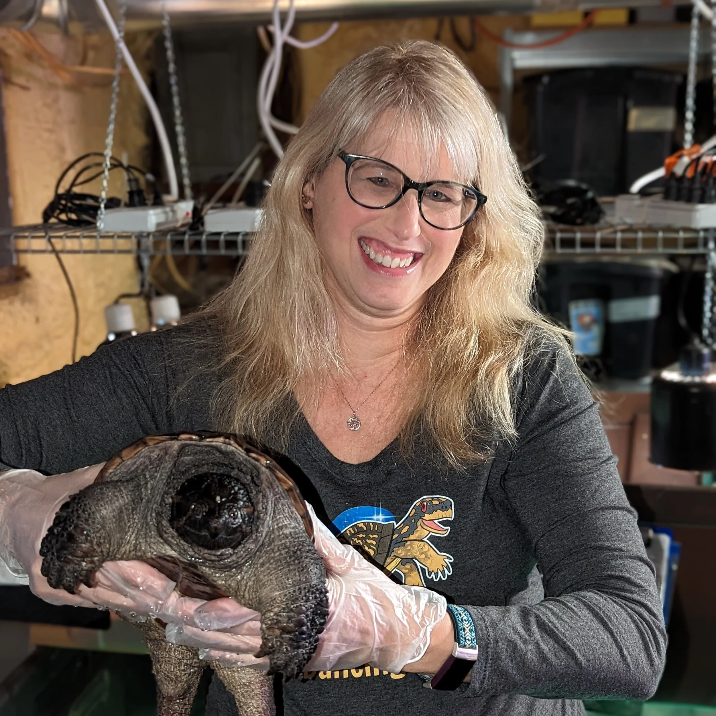 Do Snapping Turtles Eat Loon Chicks? — Adirondack Center for Loon ...