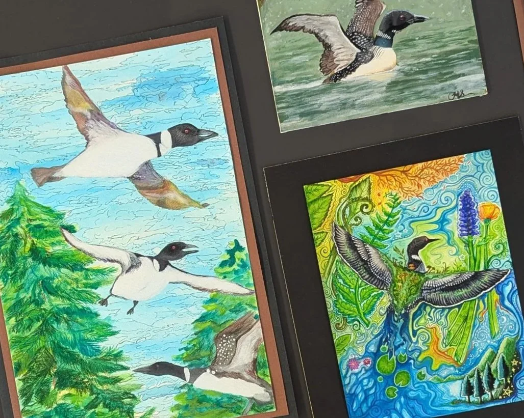 First Annual Loon Art Contest Winners