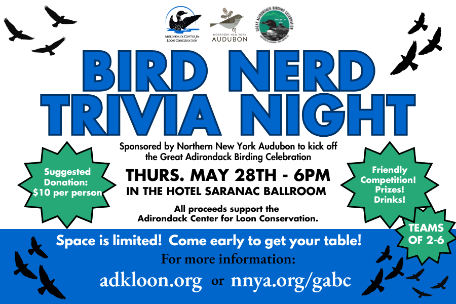 Bird Nerd Trivia Night with NNYA