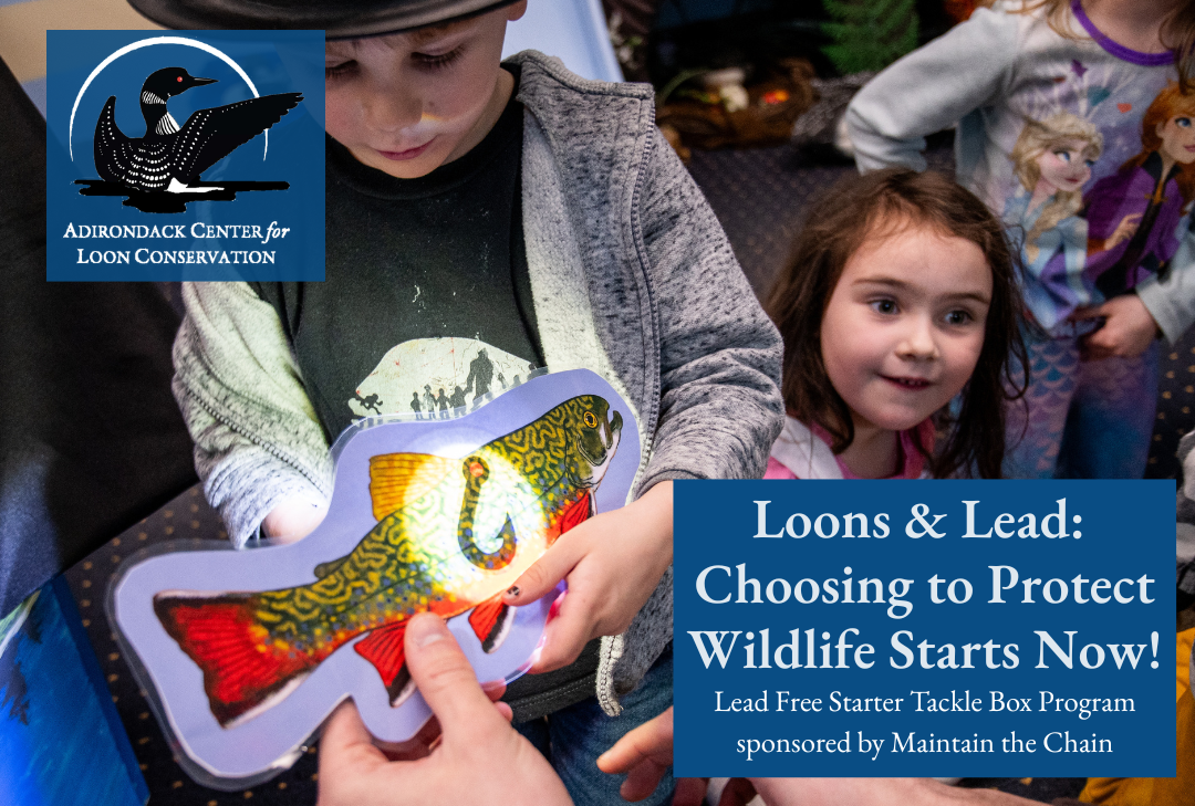 Kids' Program: Choosing to Protect Wildlife Starts Now!